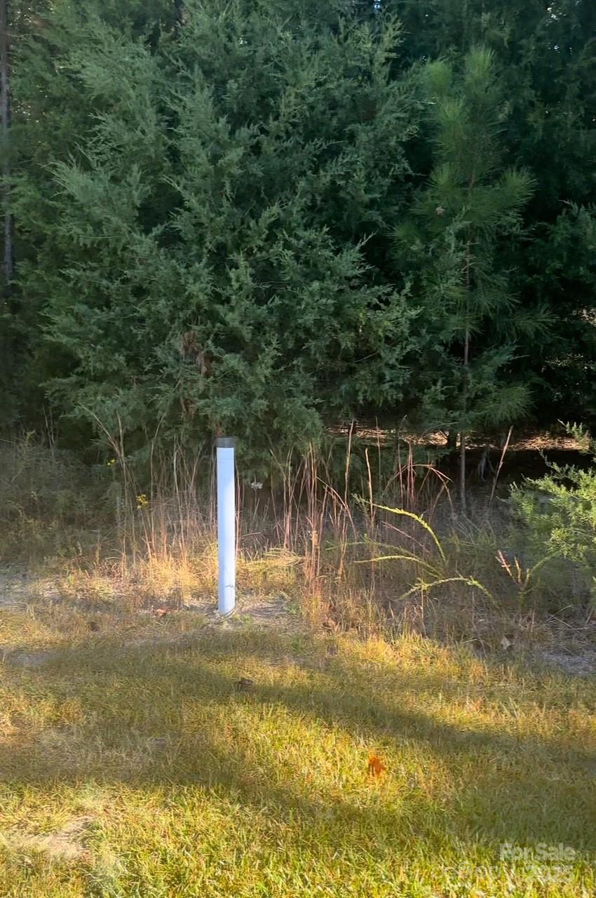 Property image 5 at 5165 Longbrooke Court, Indian Land, SC 29707
