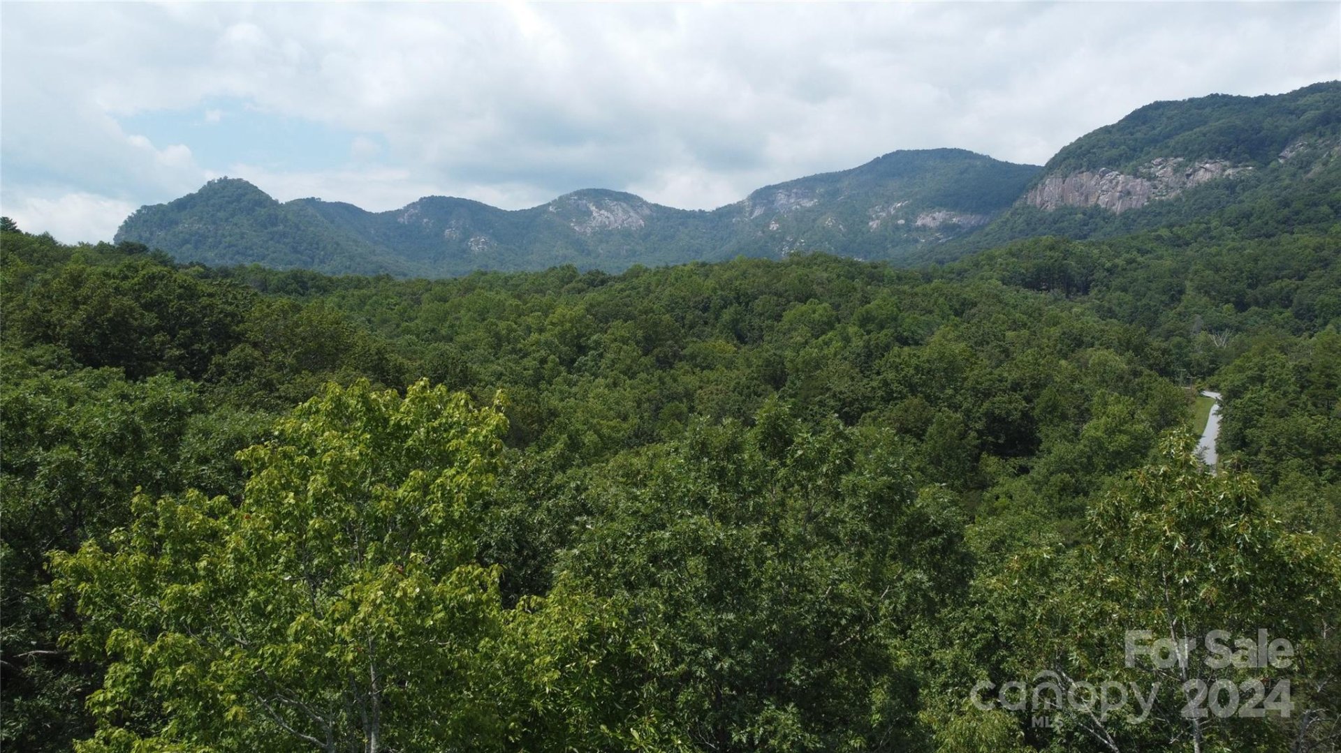 Property image 2 at 0 Mintwood Court, Lake Lure, NC 28746