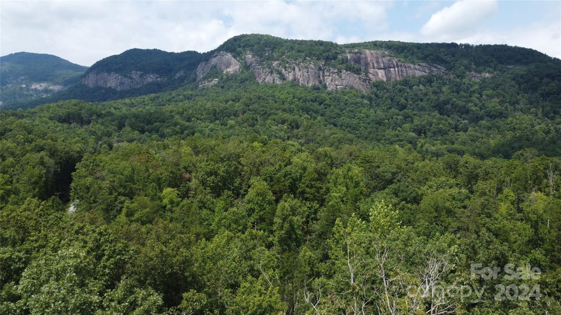 Property image 3 at 0 Mintwood Court, Lake Lure, NC 28746