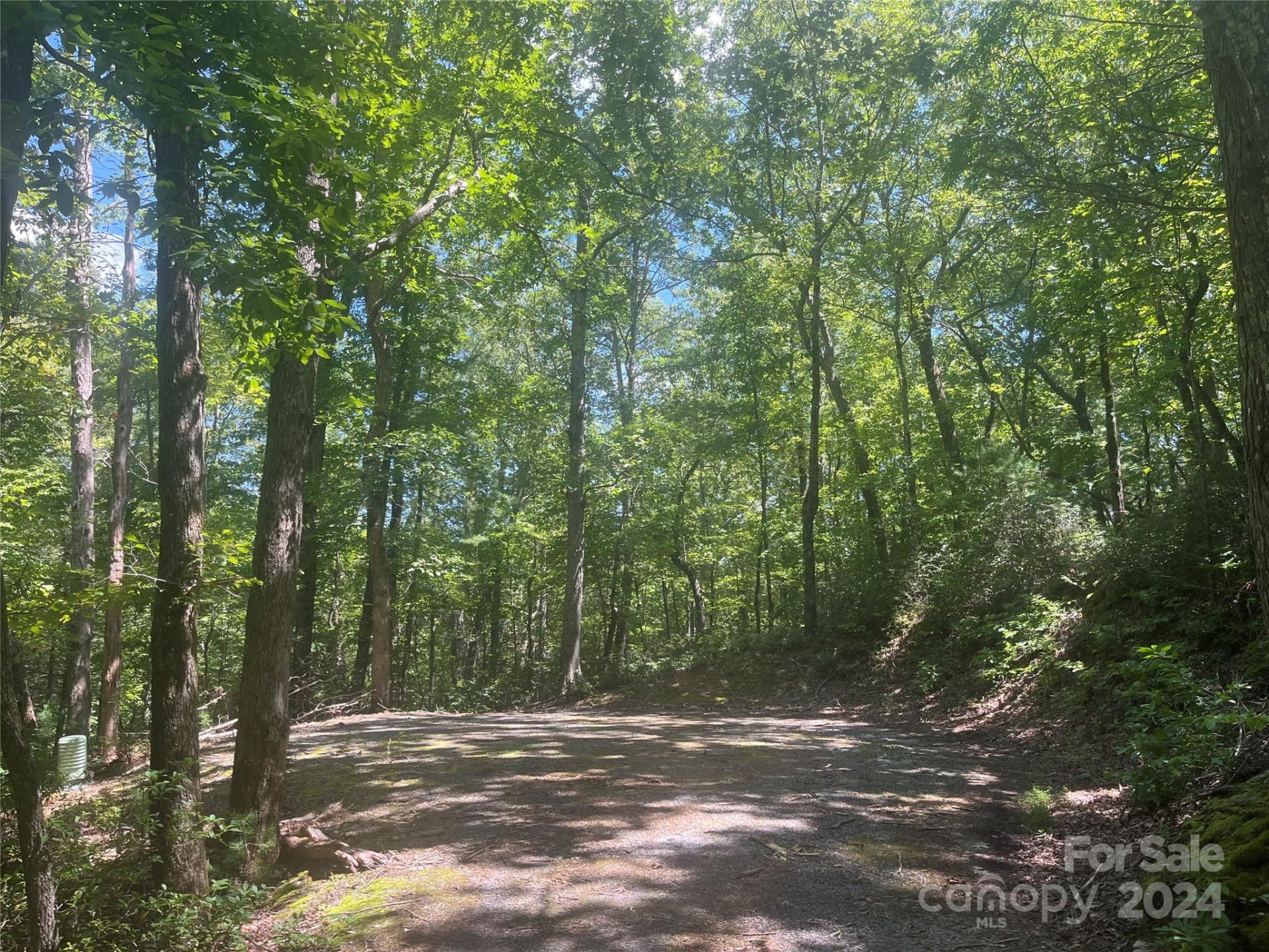 Property image 4 at 0 Mintwood Court, Lake Lure, NC 28746