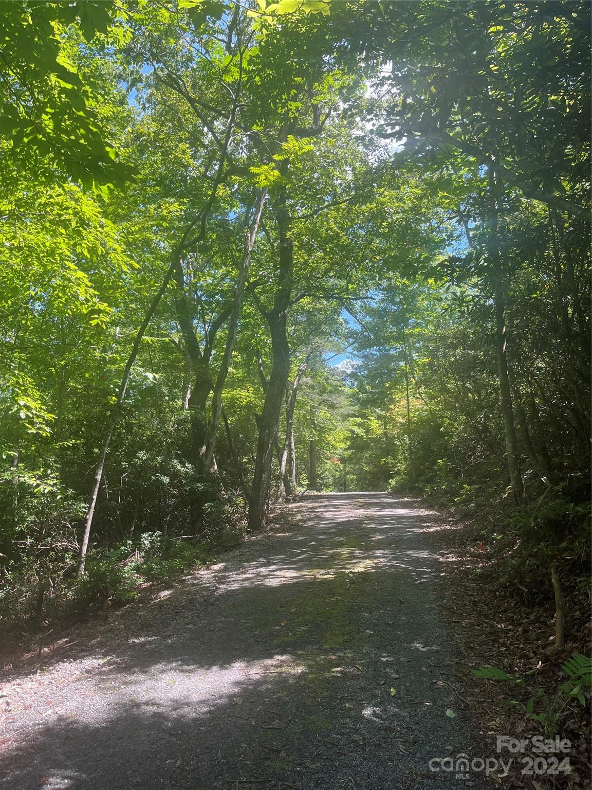 Property image 5 at 0 Mintwood Court, Lake Lure, NC 28746