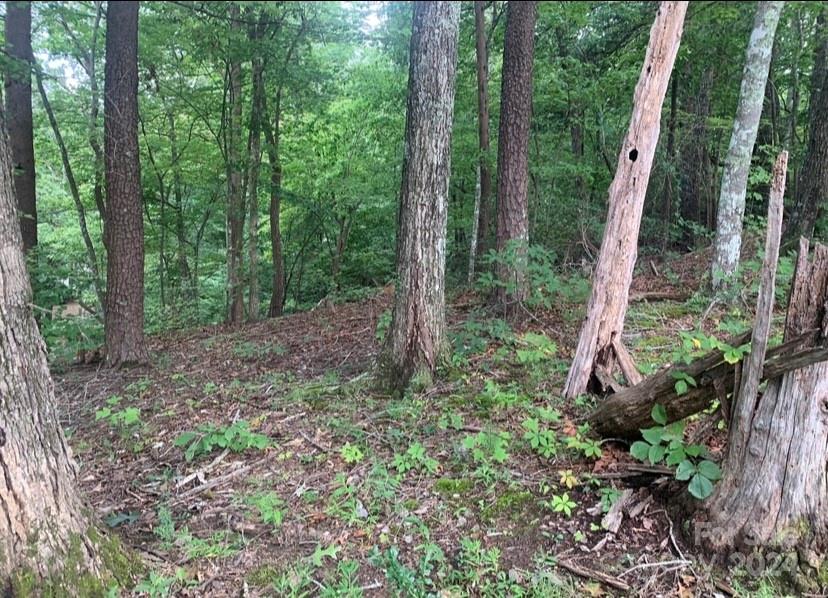 Property image 1 at 0 Bee Tree Pointe, Lake Lure, NC 28746