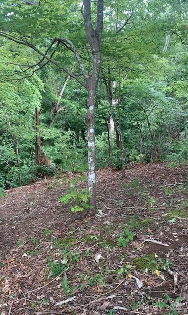 Property image 3 at 0 Bee Tree Pointe, Lake Lure, NC 28746