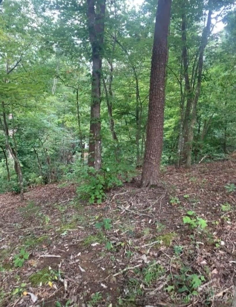 Property image 4 at 0 Bee Tree Pointe, Lake Lure, NC 28746