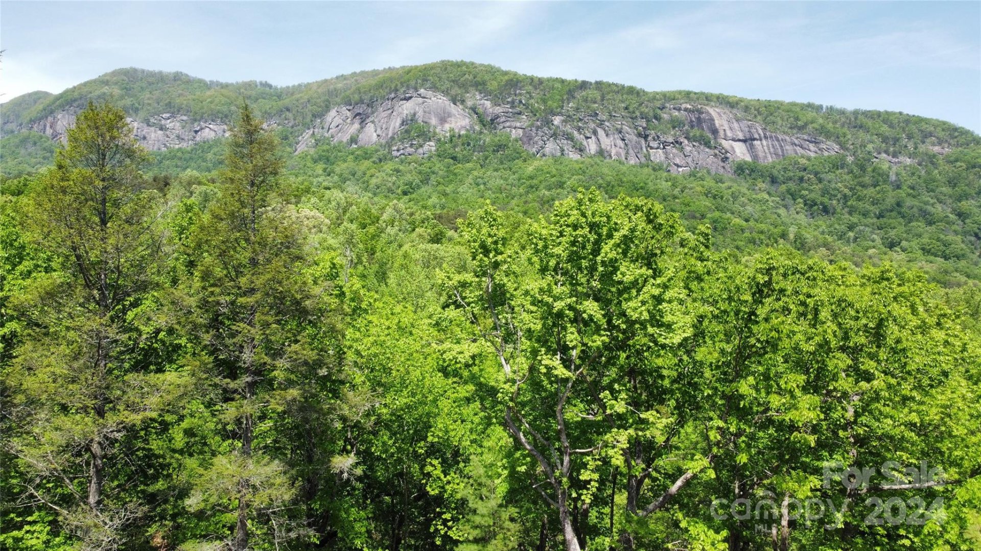 Property image 2 at 0 Mintwood Court, Lake Lure, NC 28746