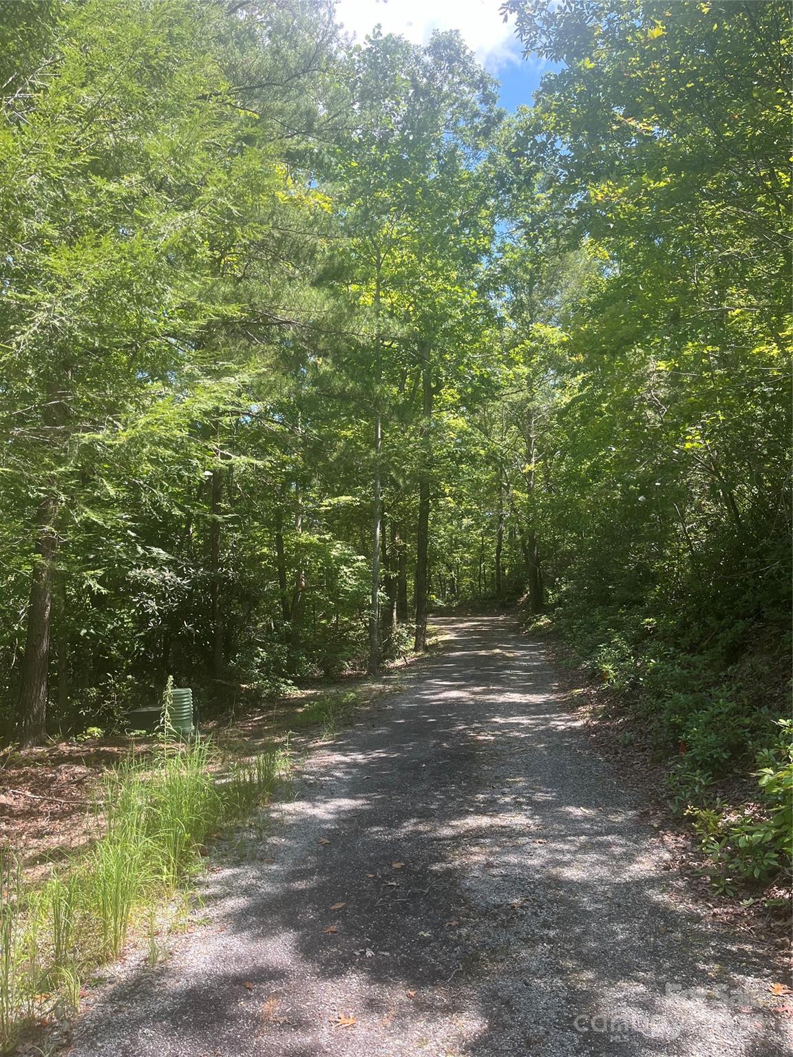Property image 3 at 0 Mintwood Court, Lake Lure, NC 28746