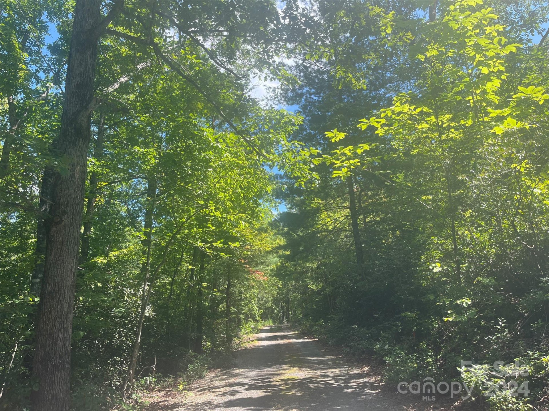 Property image 4 at 0 Mintwood Court, Lake Lure, NC 28746