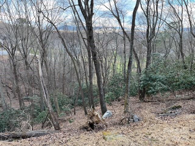 Property image 4 at 888 Glen Eagles Lane, Mills River, NC 28759