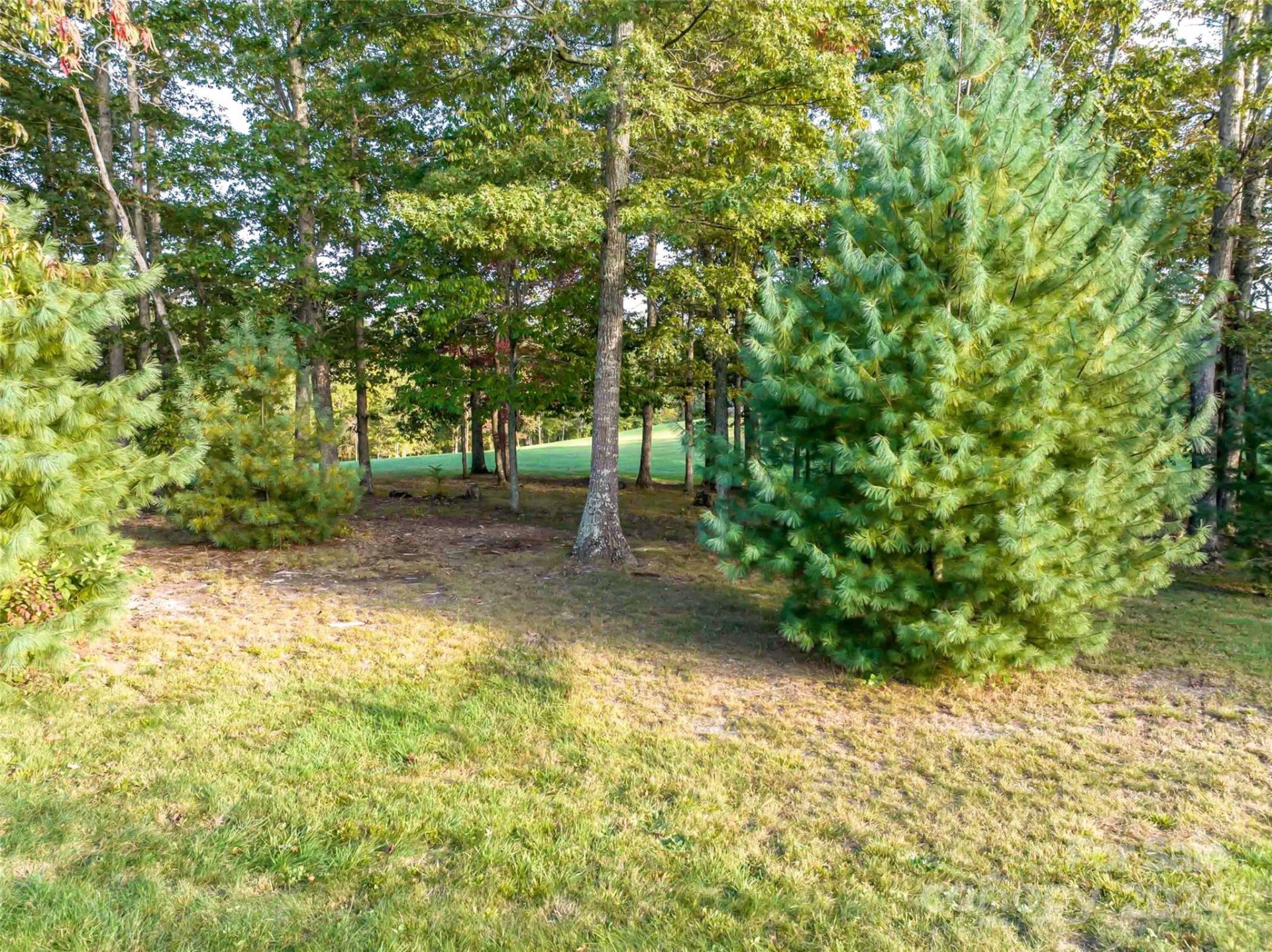 Property image 4 at 337 Chukar Way, Fletcher, NC 28732