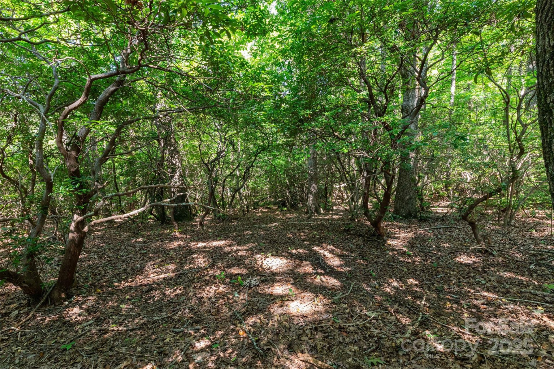 Property image 3 at 9999 Arrowhead Trail, Columbus, NC 28722