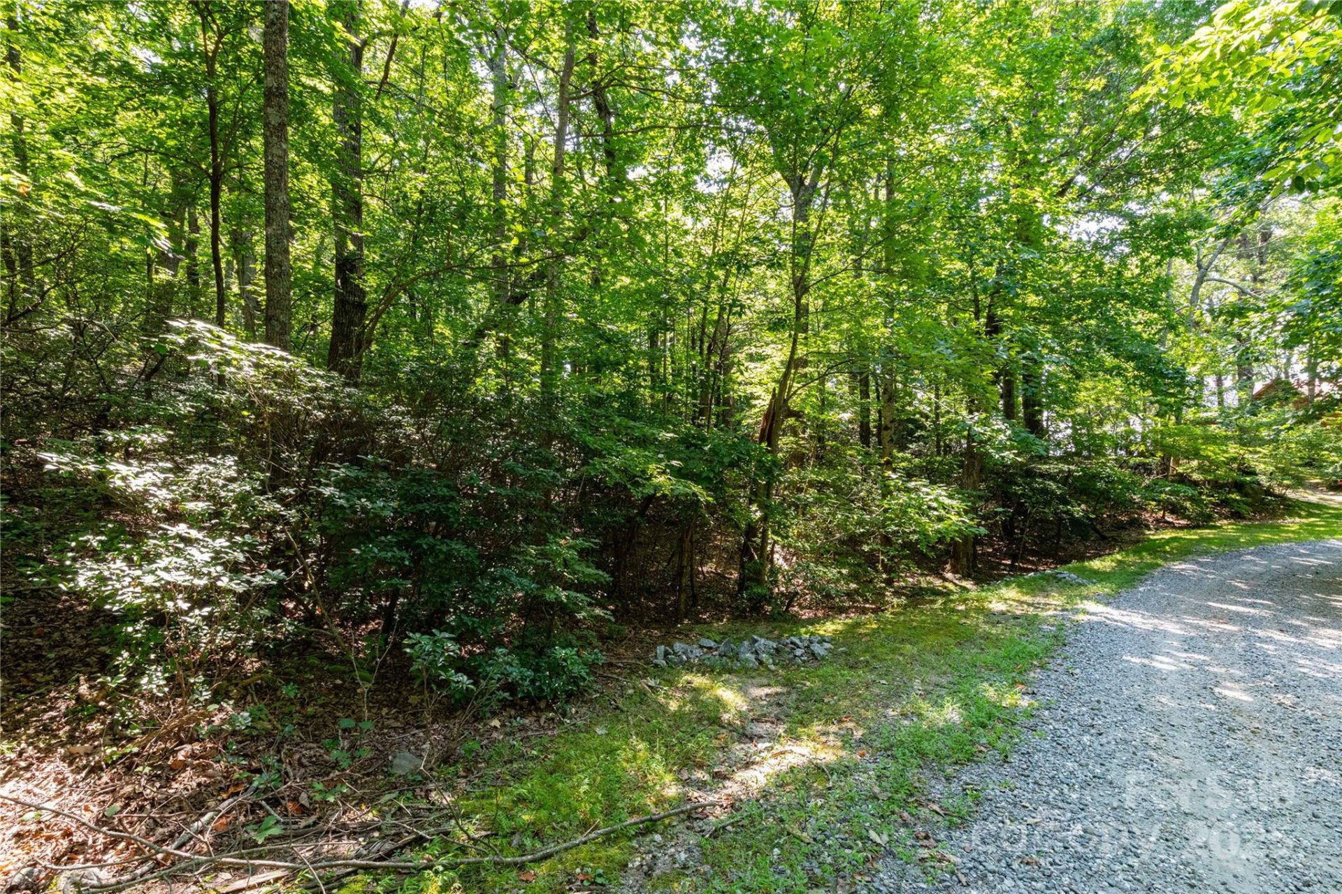 Property image 5 at 9999 Arrowhead Trail, Columbus, NC 28722