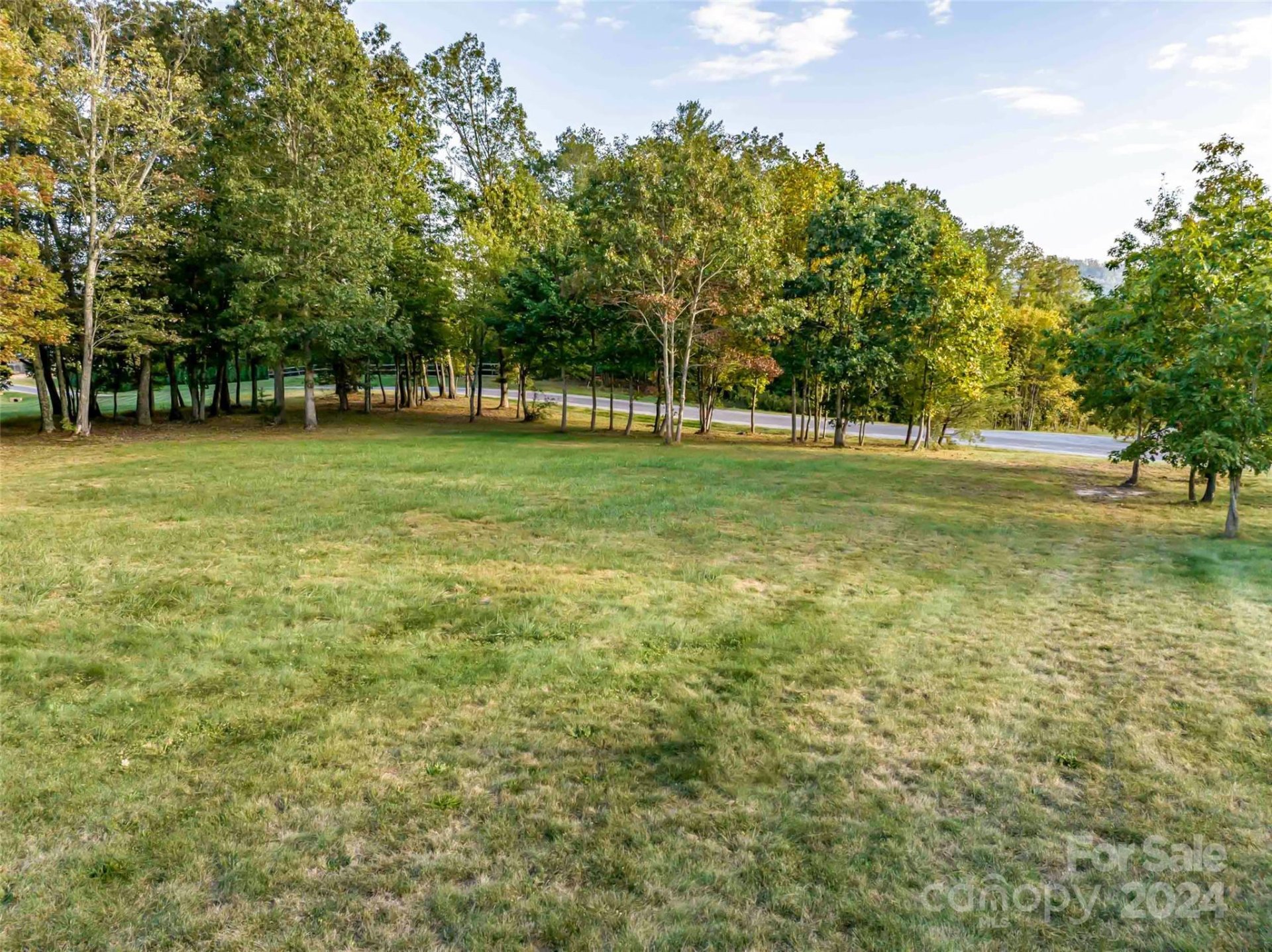 Property image 3 at 365 Chukar Way, Fletcher, NC 28732