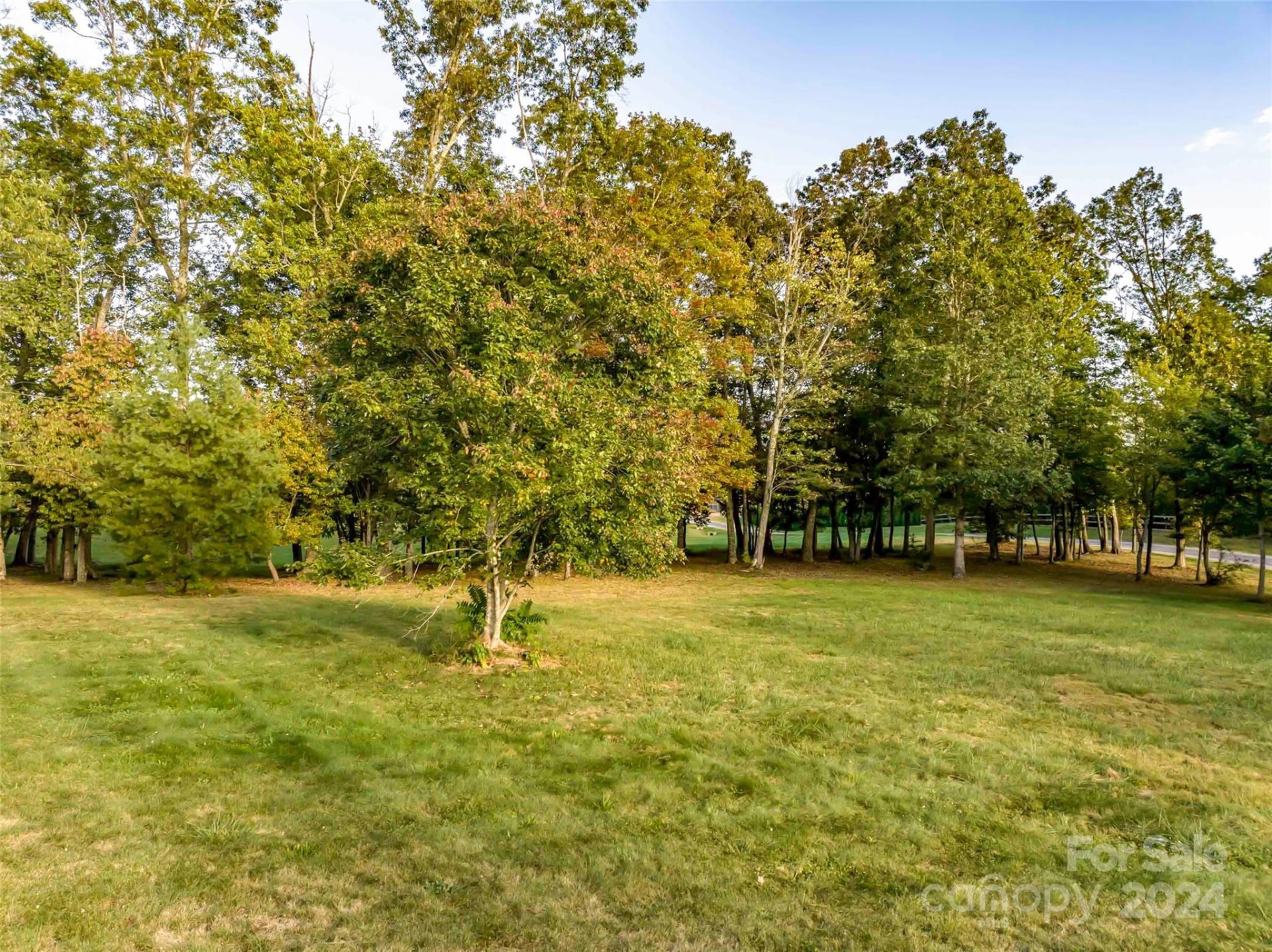 Property image 4 at 365 Chukar Way, Fletcher, NC 28732