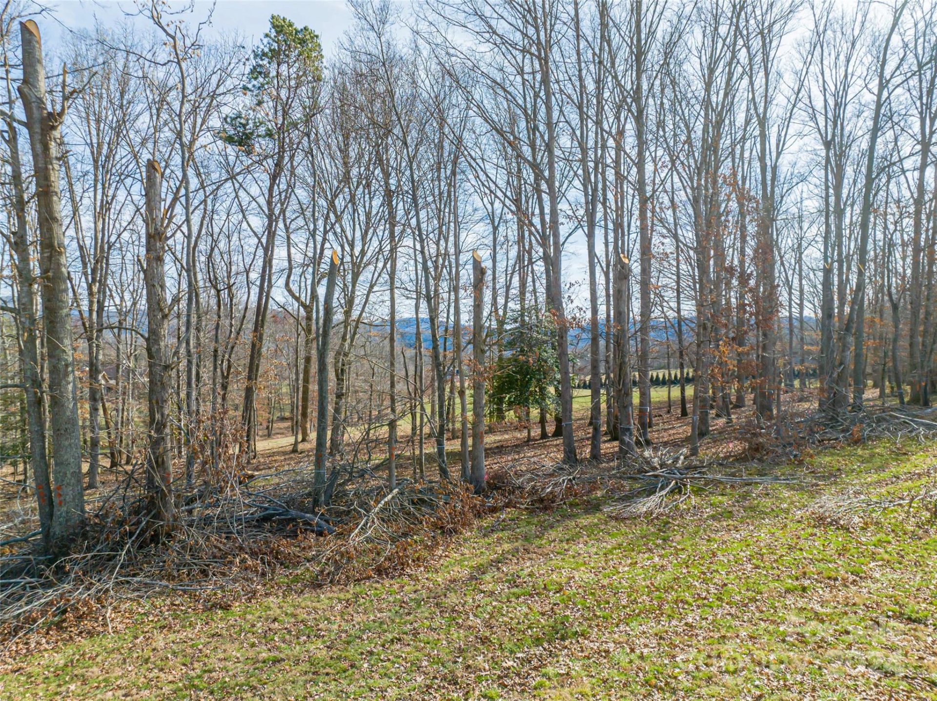 Property image 4 at 382 Chukar Way, Fletcher, NC 28732