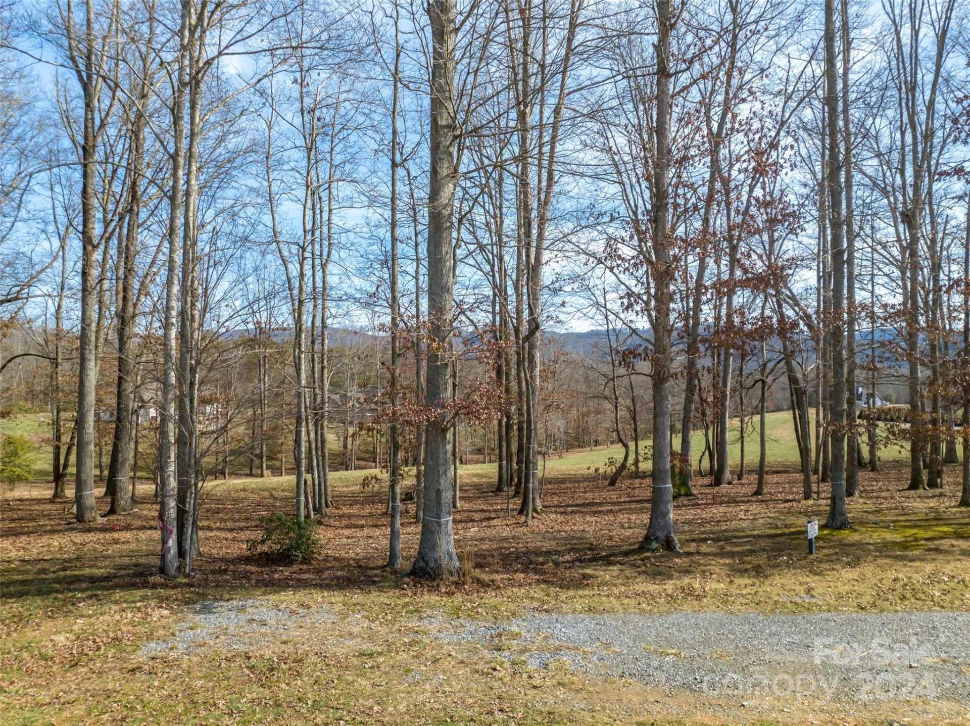 Property image 5 at 382 Chukar Way, Fletcher, NC 28732