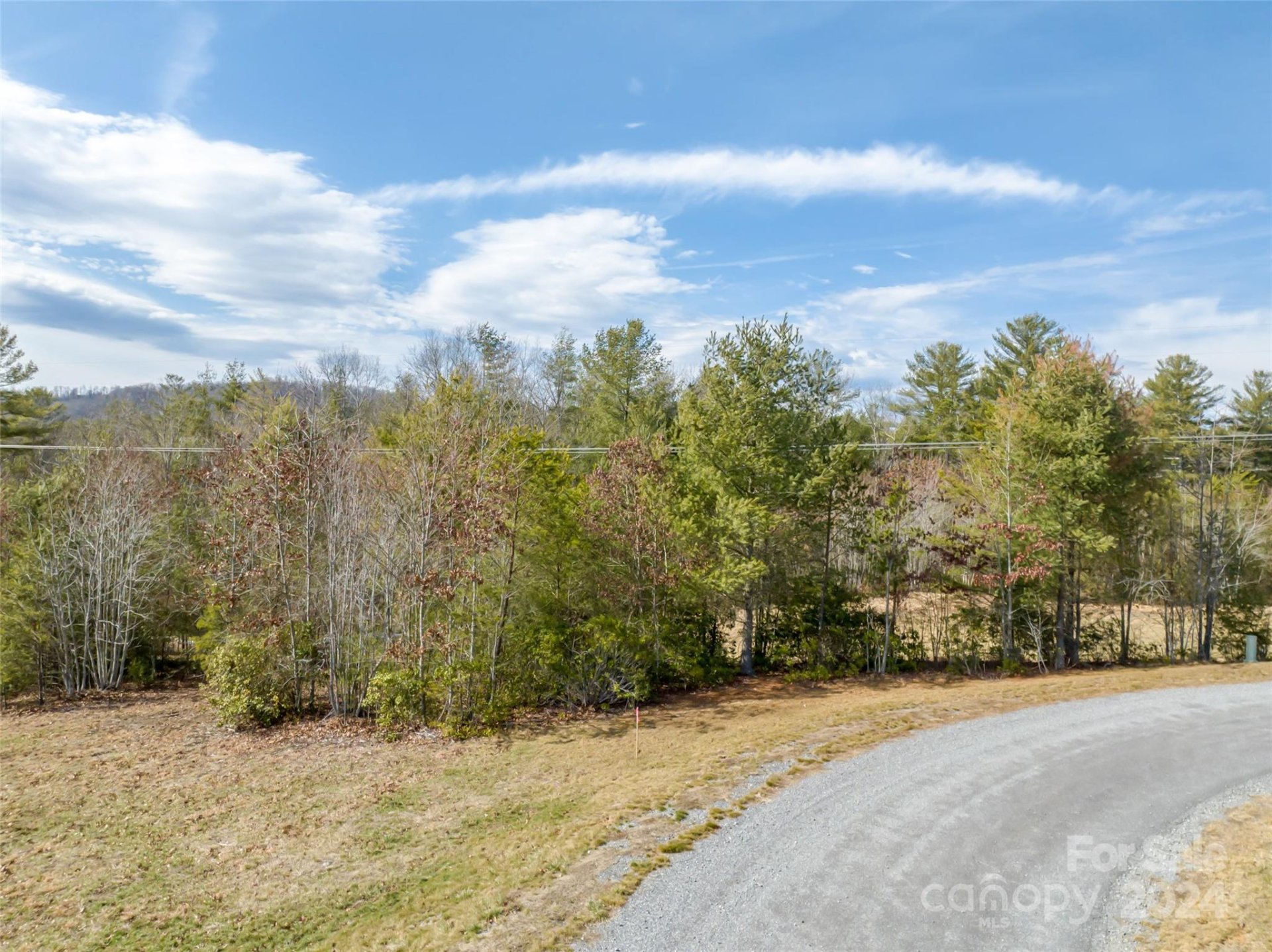 Property image 3 at 366 Chukar Way, Fletcher, NC 28732