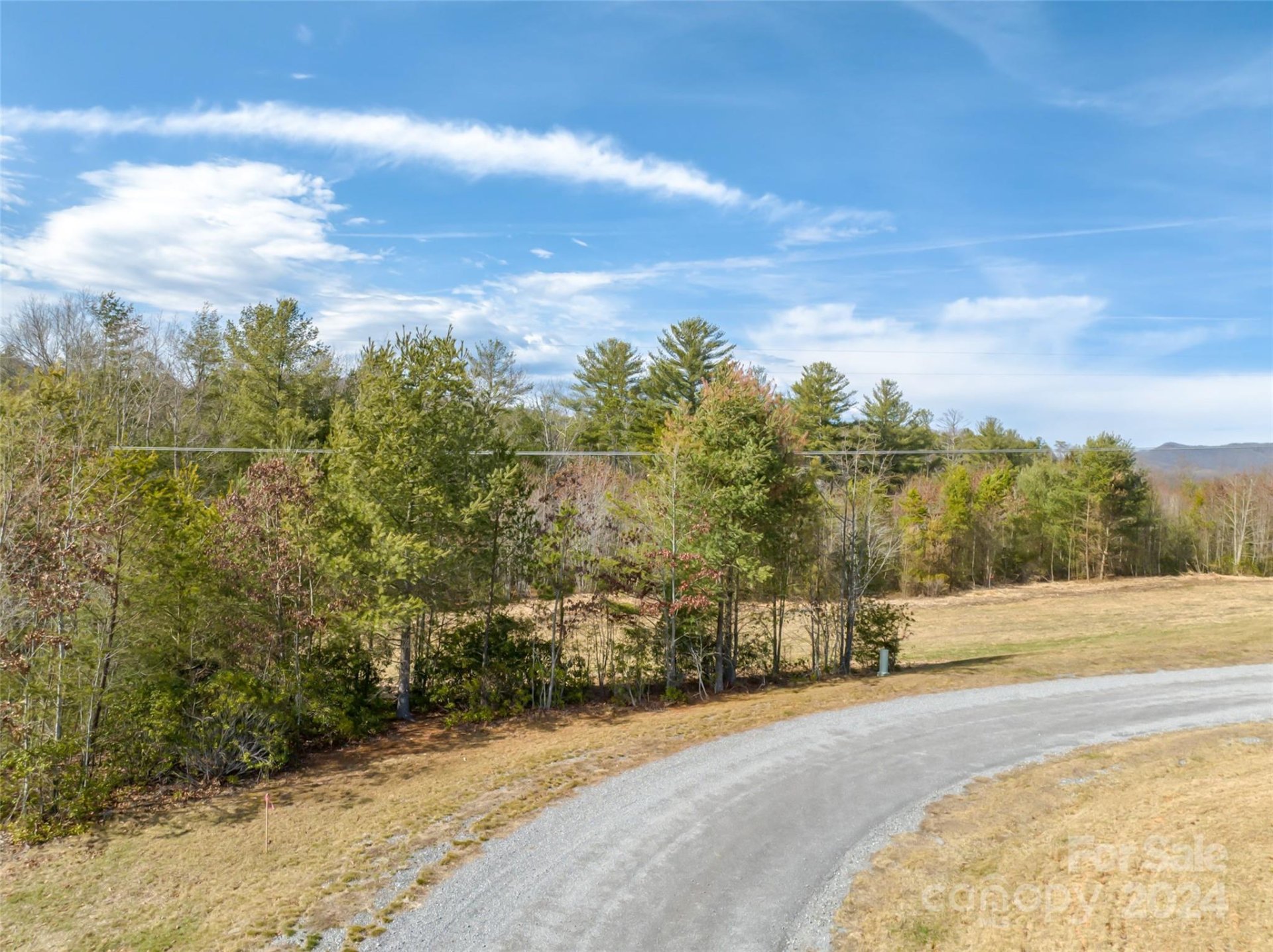 Property image 4 at 366 Chukar Way, Fletcher, NC 28732
