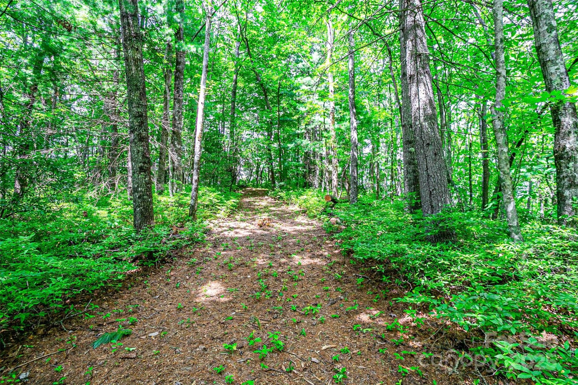 Property image 1 at Tbd Big Branch Road, Brevard, NC 28712