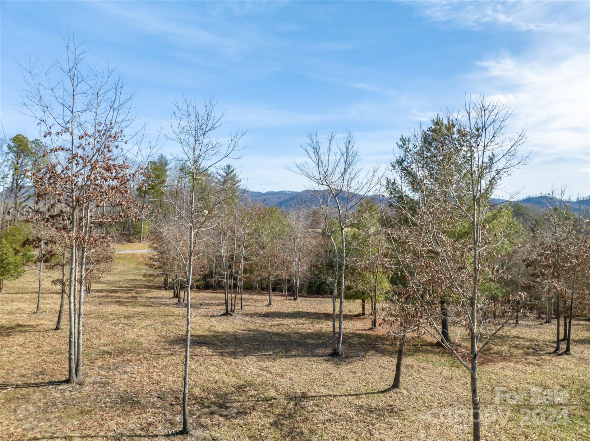 Property image 3 at 415 Pisgah Vista Road, Fletcher, NC 28732