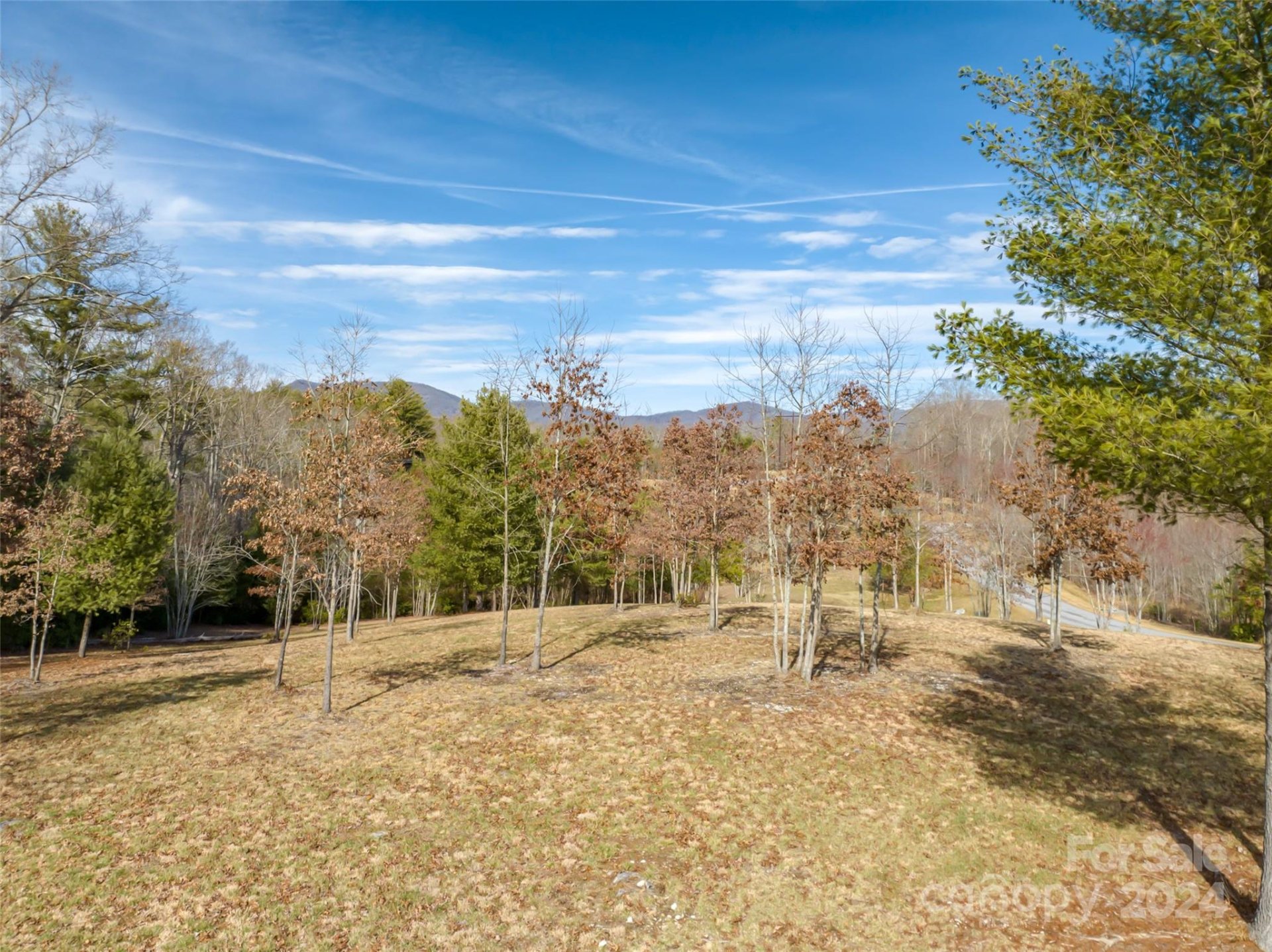 Property image 4 at 415 Pisgah Vista Road, Fletcher, NC 28732