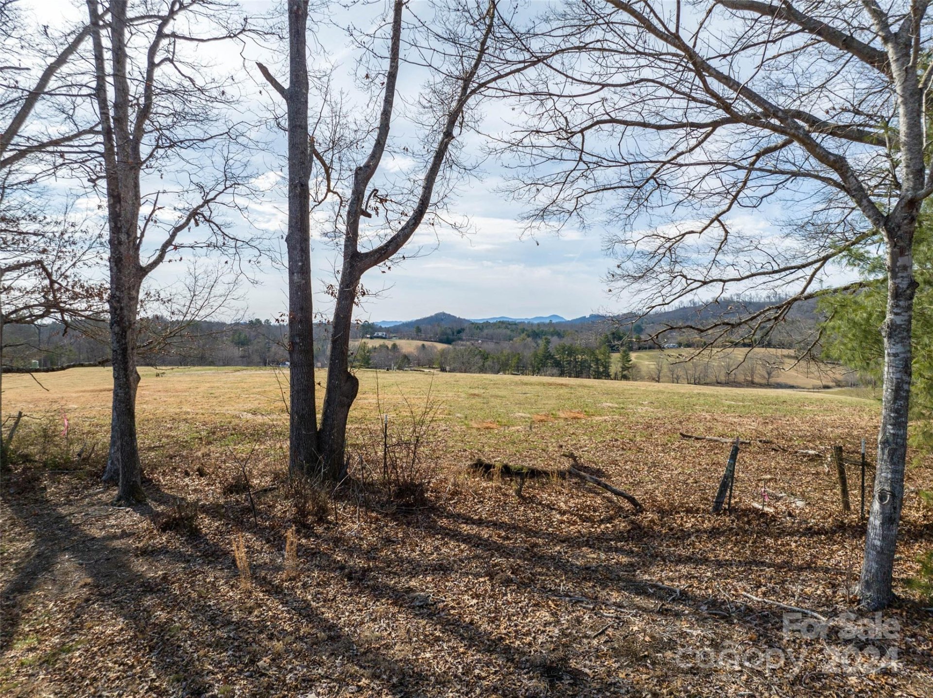 Property image 5 at 415 Pisgah Vista Road, Fletcher, NC 28732