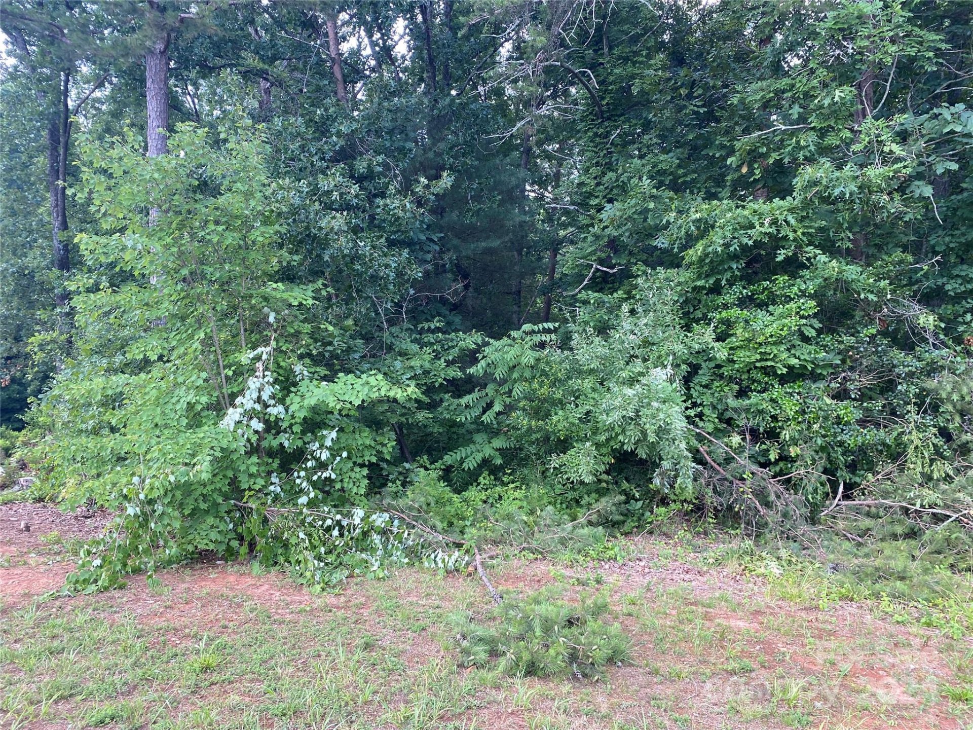 Property image 2 at 3 Lots On Riverdell Road, Hickory, NC 28601