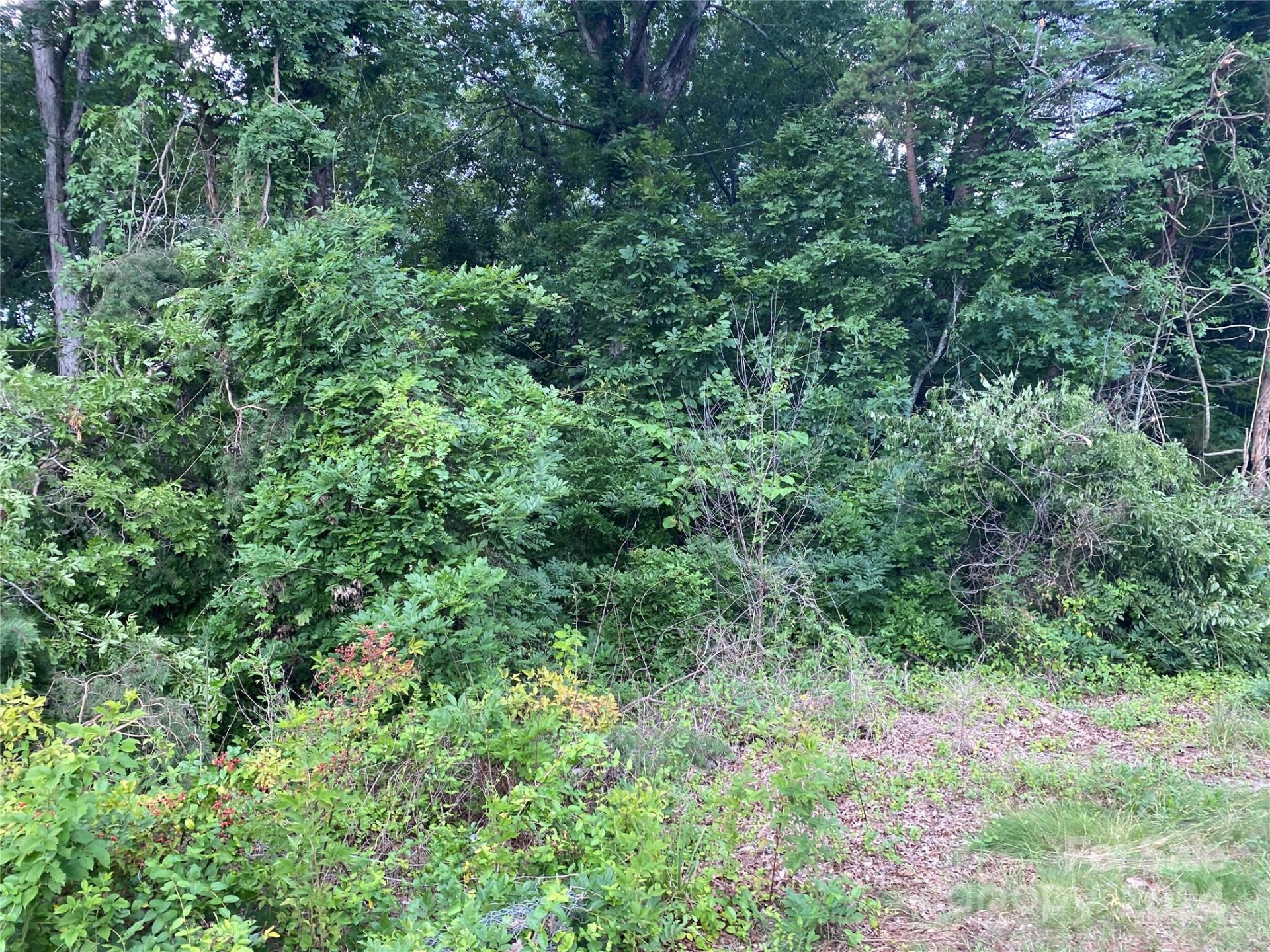 Property image 4 at 3 Lots On Riverdell Road, Hickory, NC 28601