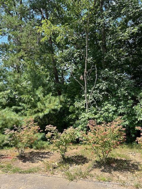Property image 5 at 46 Elk Mountain Ridge, Asheville, NC 28804