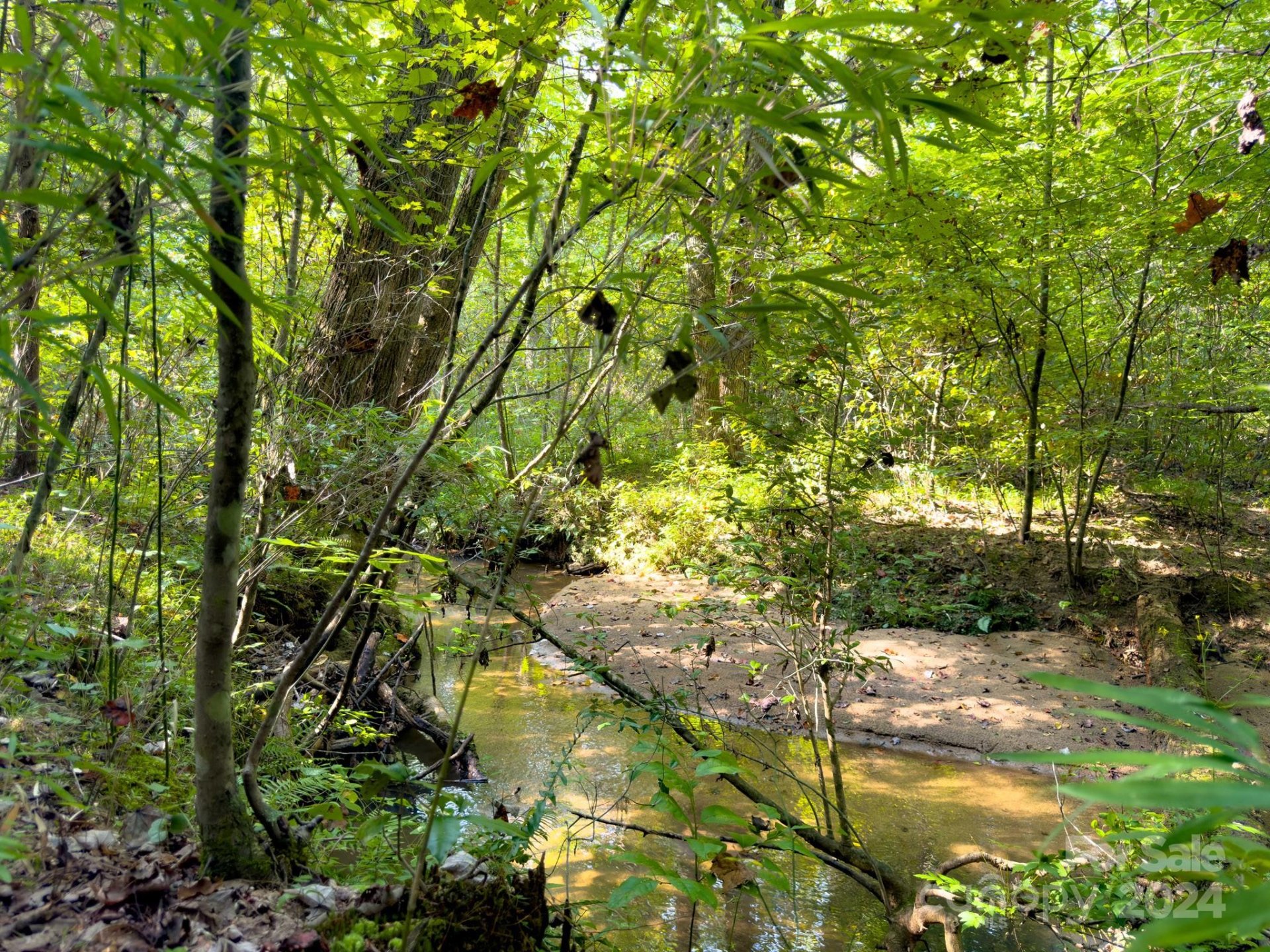 Property image 1 at Tbd Double Eagle Drive, Nebo, NC 28761