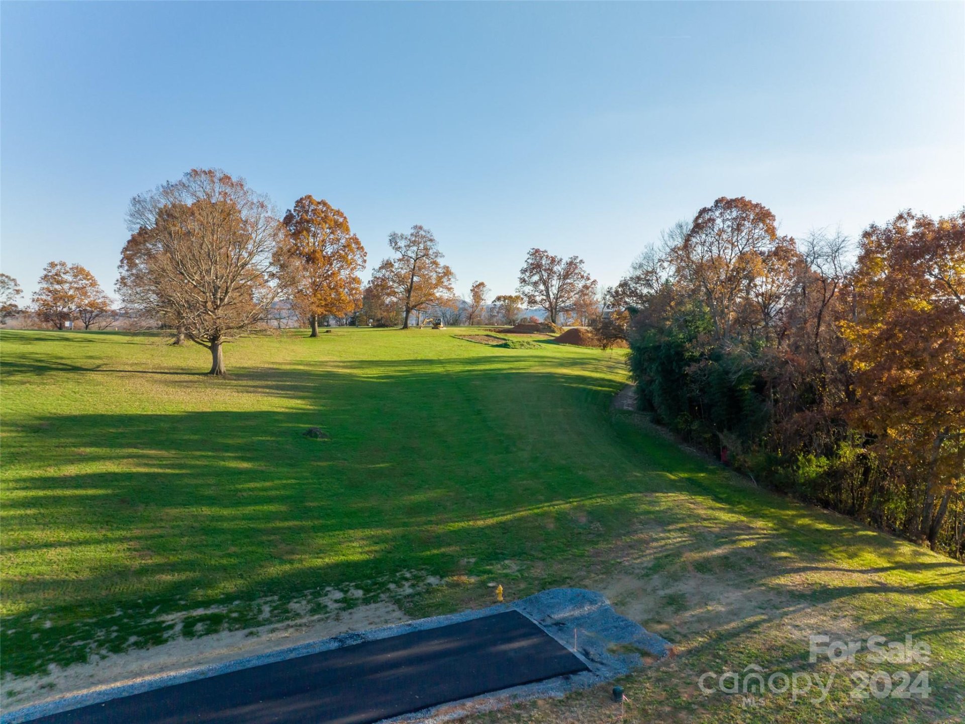 Property image 2 at 207 Soapstone Trail, Mills River, NC 28759