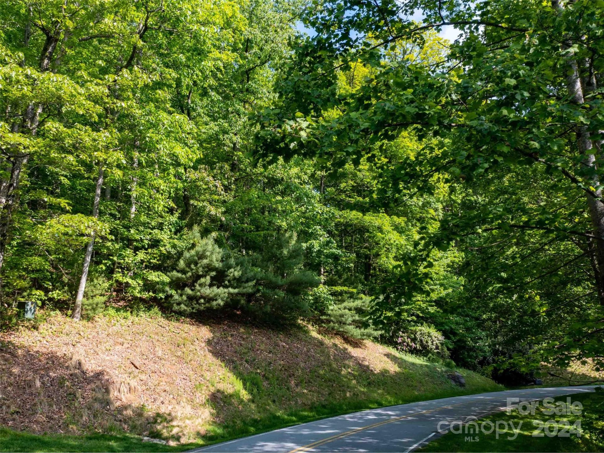 Property image 2 at 166 Chattooga Run, Hendersonville, NC 28739