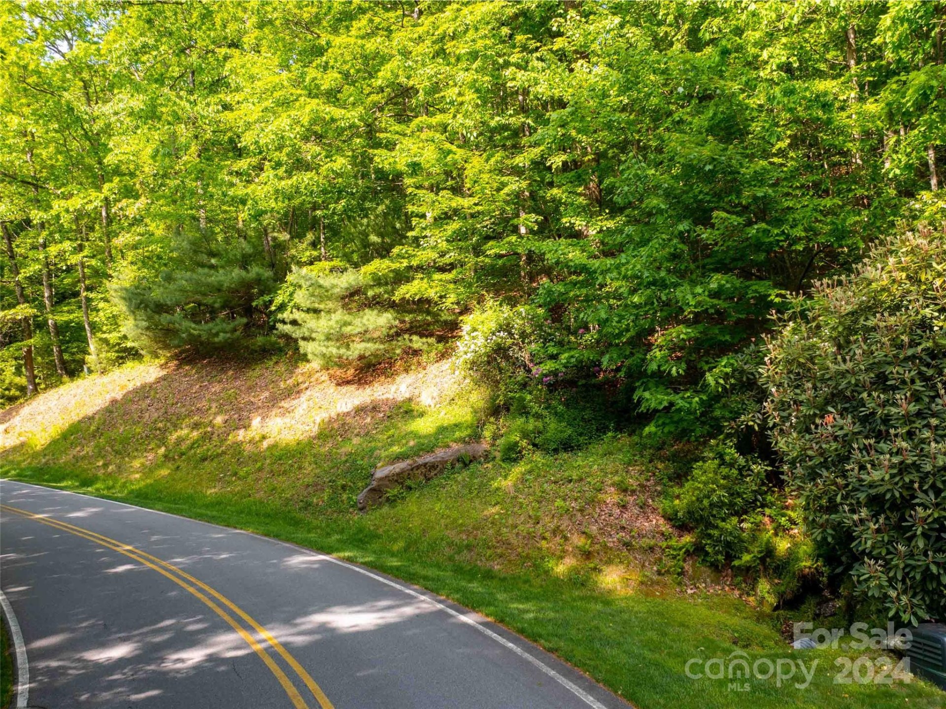 Property image 3 at 166 Chattooga Run, Hendersonville, NC 28739