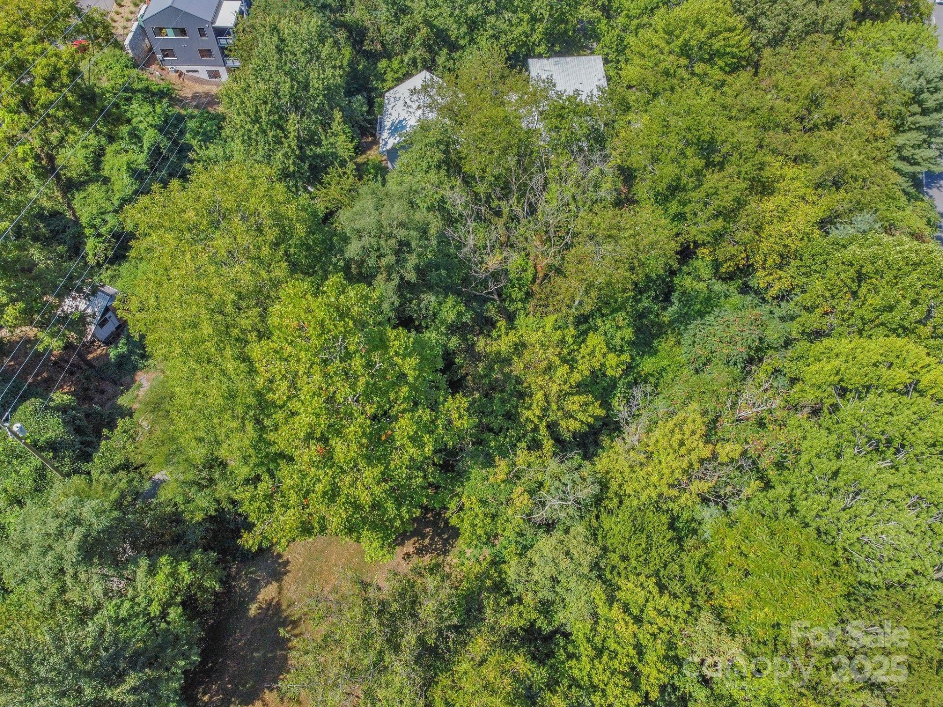 Property image 3 at 5 Club Street, Asheville, NC 28801