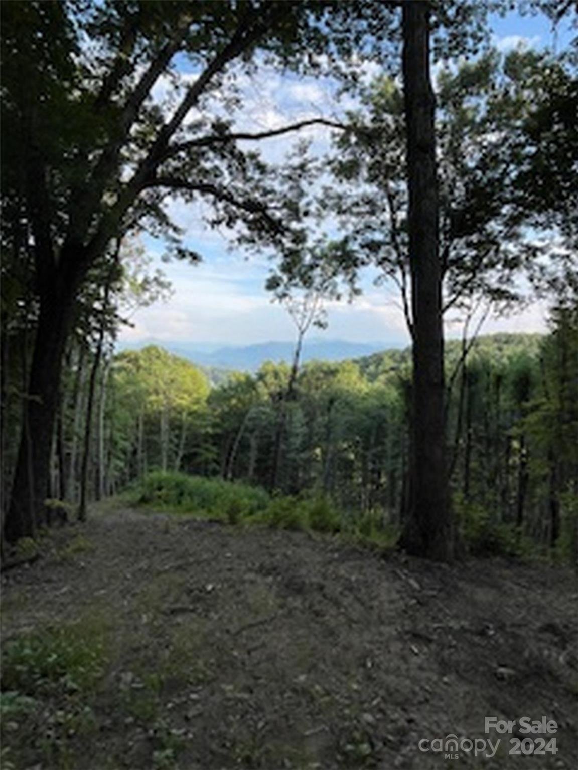 Property image 1 at 26 Kaleidoscope Cove, Waynesville, NC 28785