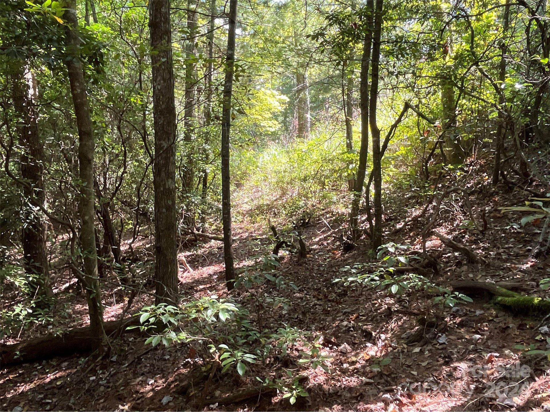 Property image 3 at 99999 Erwin Hill Drive, Etowah, NC 28792