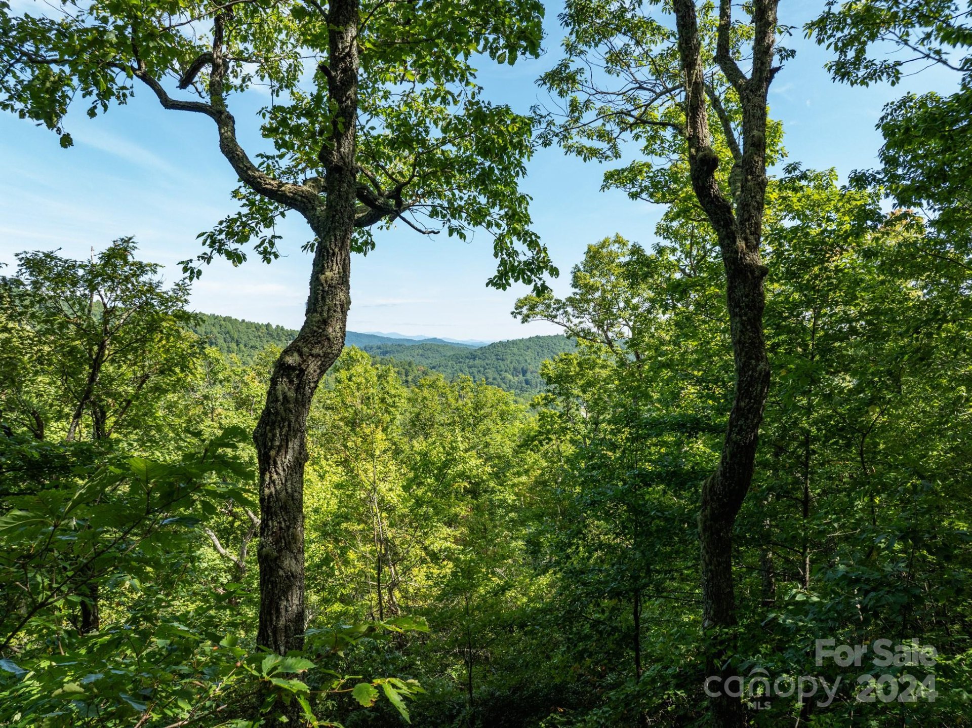 The Cliffs Valley, Zirconia Community