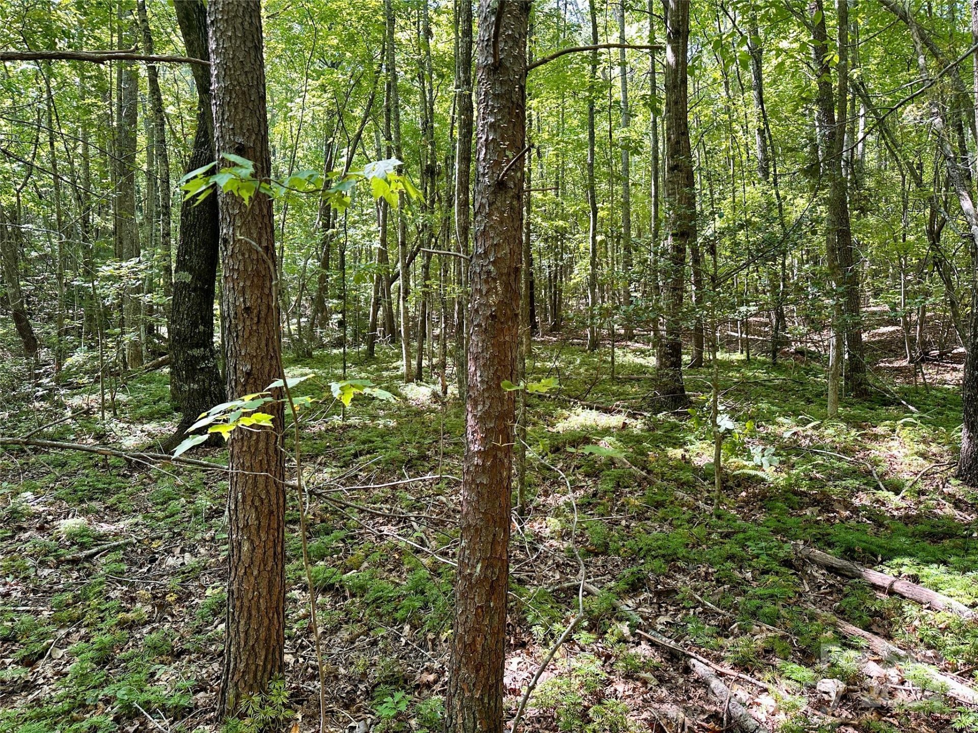 Property image 1 at 0 Tahawus Drive, Bostic, NC 28018