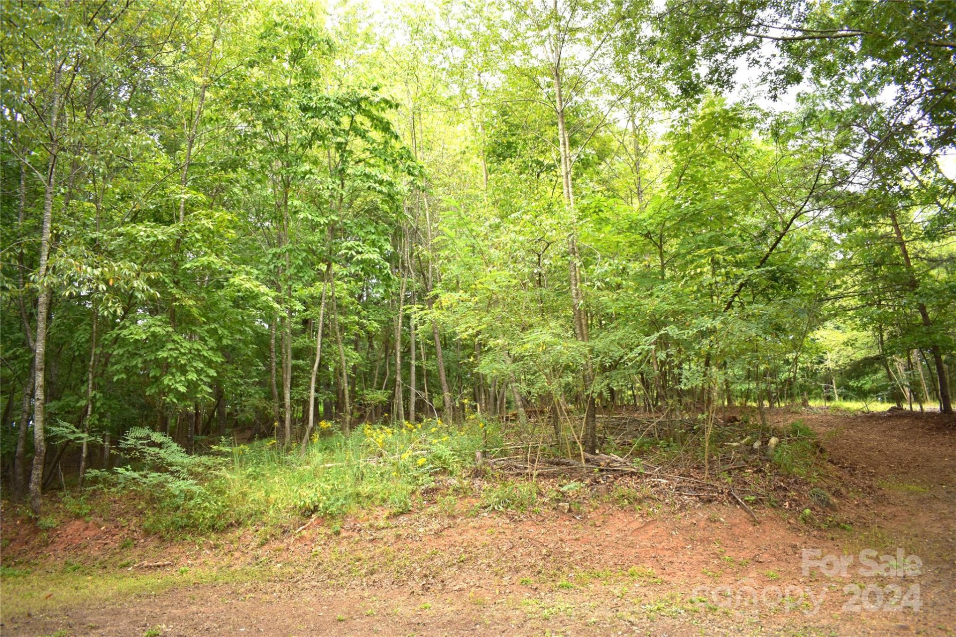 Property image 2 at 0 Ridgeview Circle, Lake Lure, NC 28746