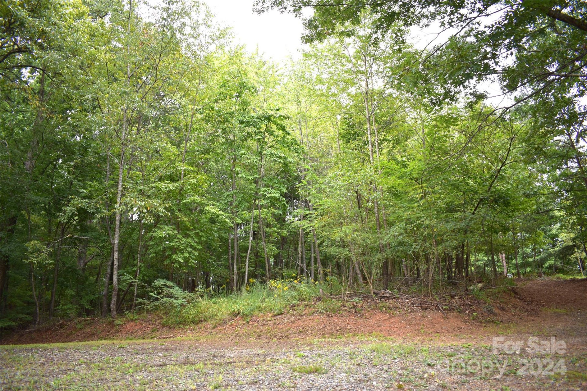 Property image 4 at 0 Ridgeview Circle, Lake Lure, NC 28746