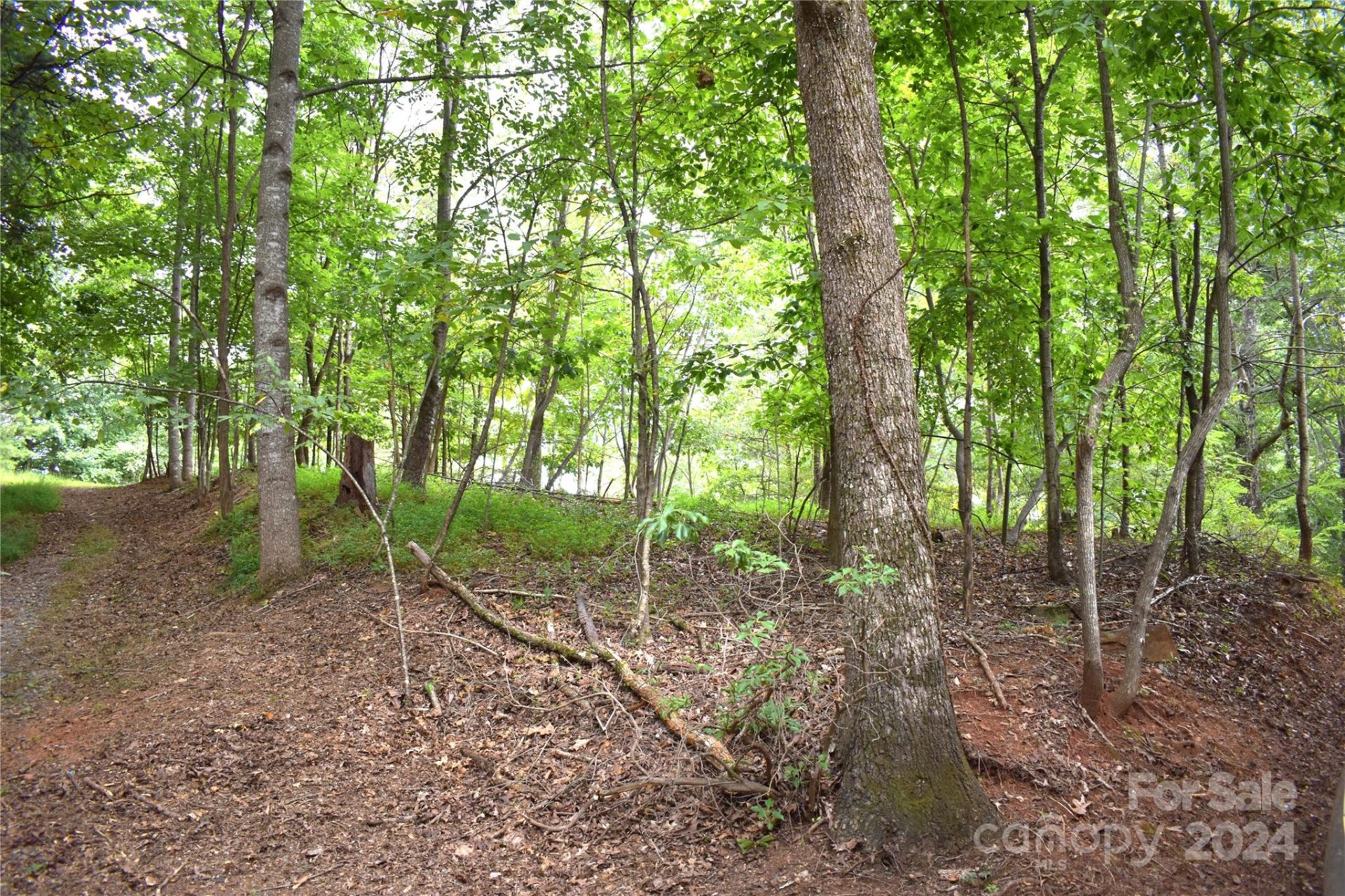 Property image 5 at 0 Ridgeview Circle, Lake Lure, NC 28746