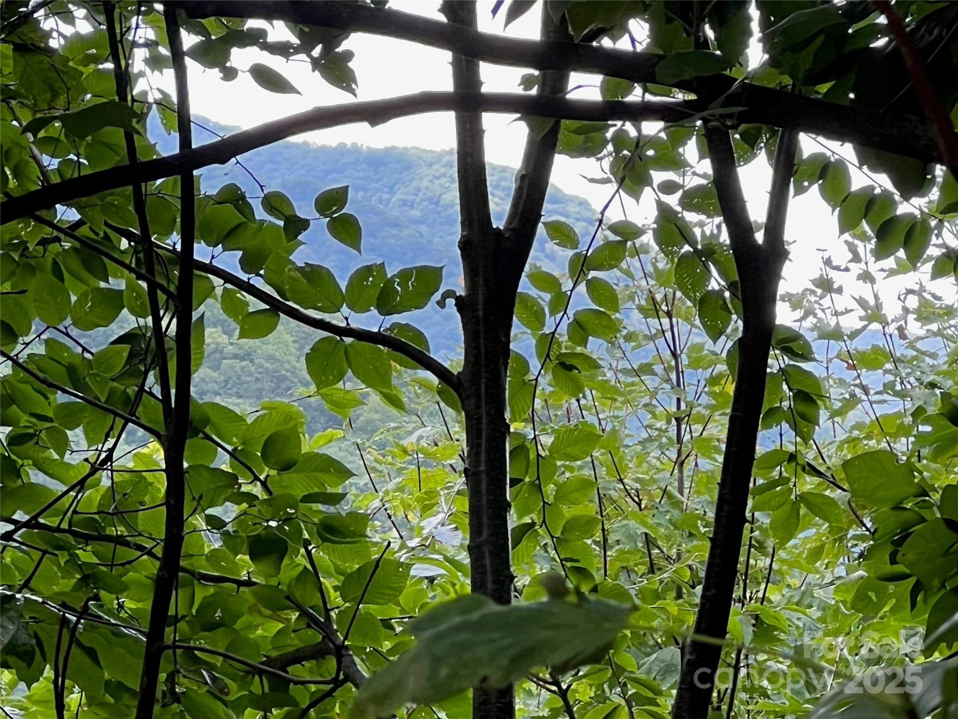 Property image 1 at 0000 Eagle Roost Road, Maggie Valley, NC 28751