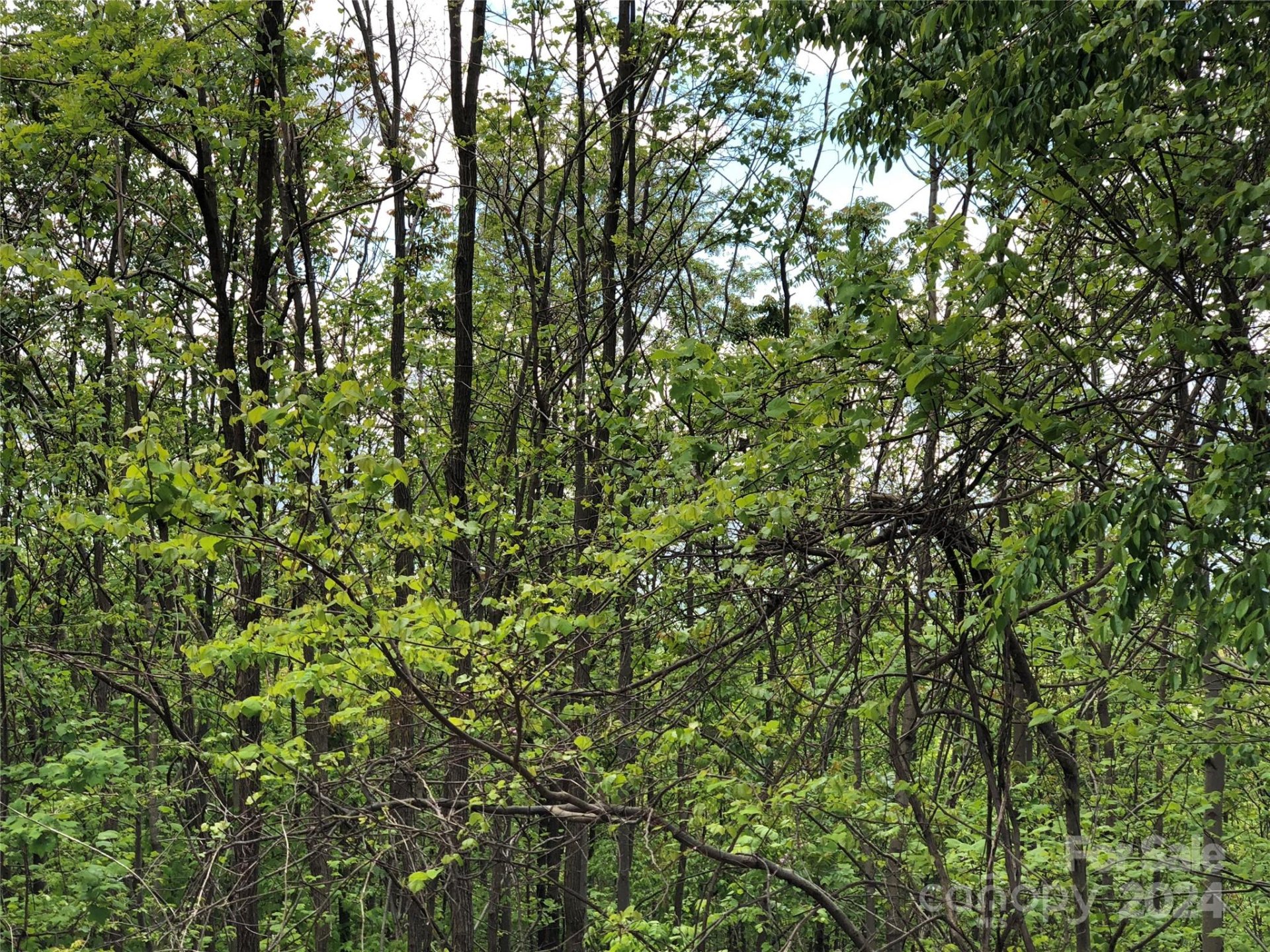 Property image 2 at 0 High Rock Ridge, Lake Lure, NC 28746