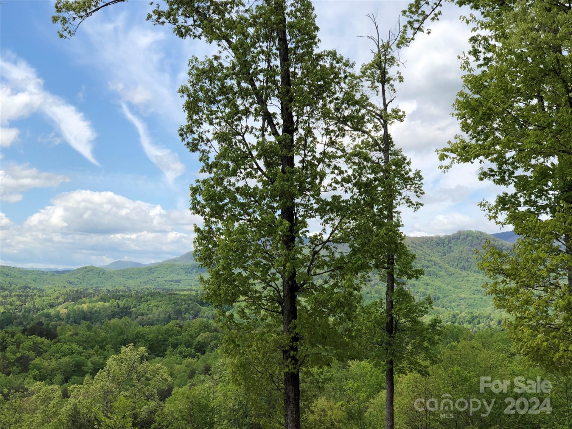 Property image 3 at 0 High Rock Ridge, Lake Lure, NC 28746