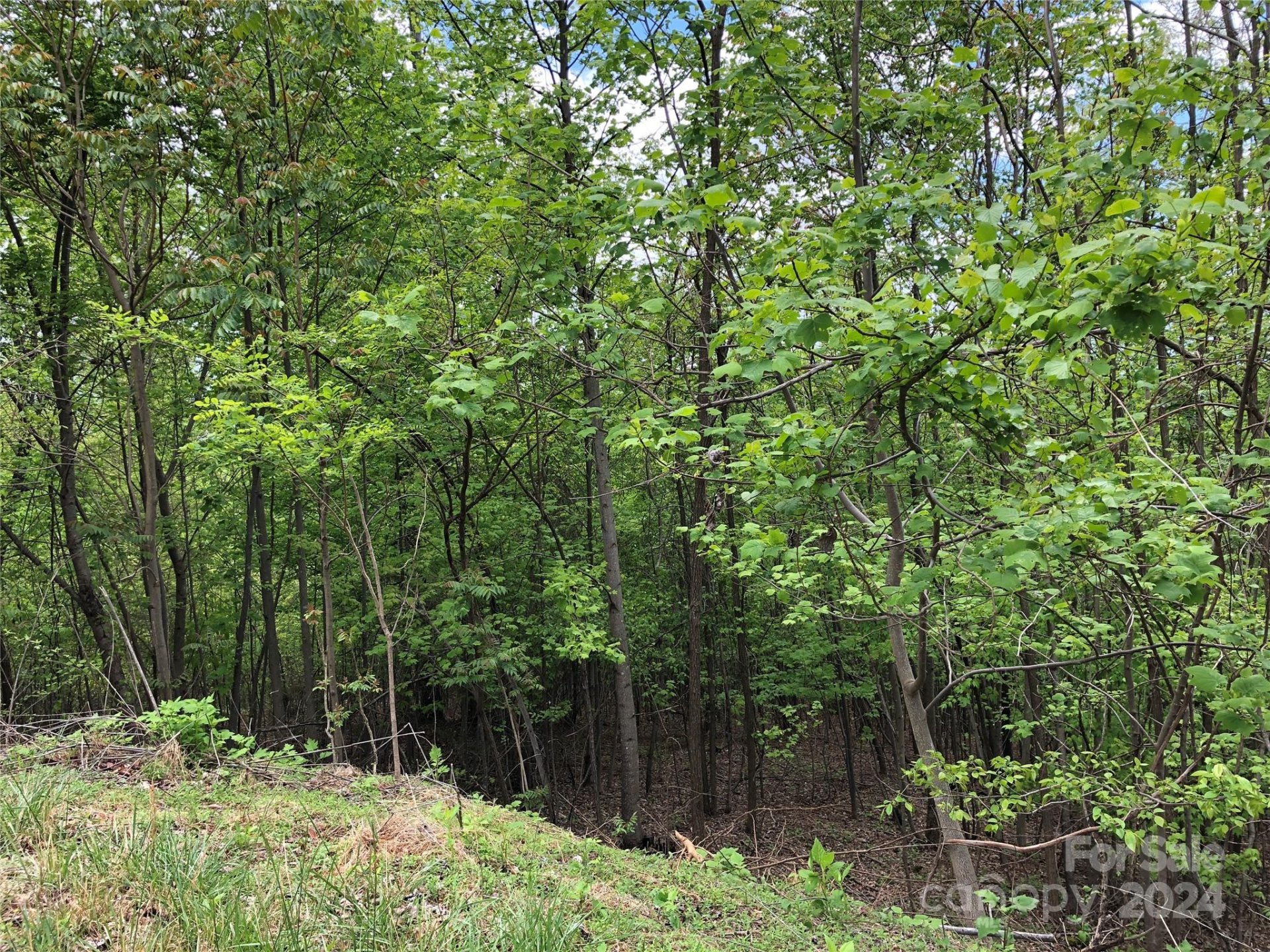Property image 5 at 0 High Rock Ridge, Lake Lure, NC 28746