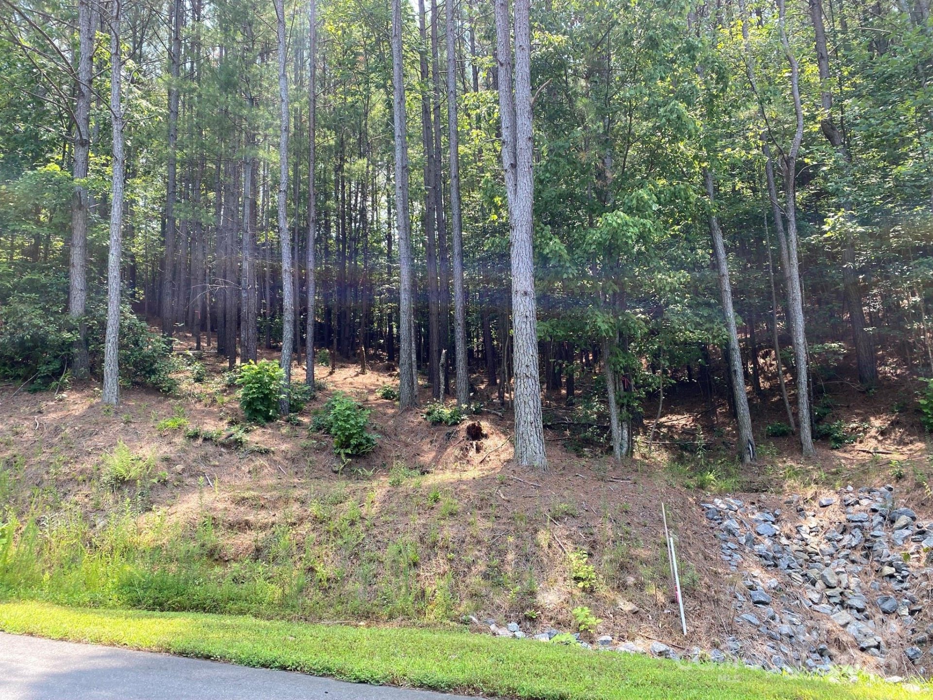 Property image 4 at 164 W Settings Boulevard, Valdese, NC 28690