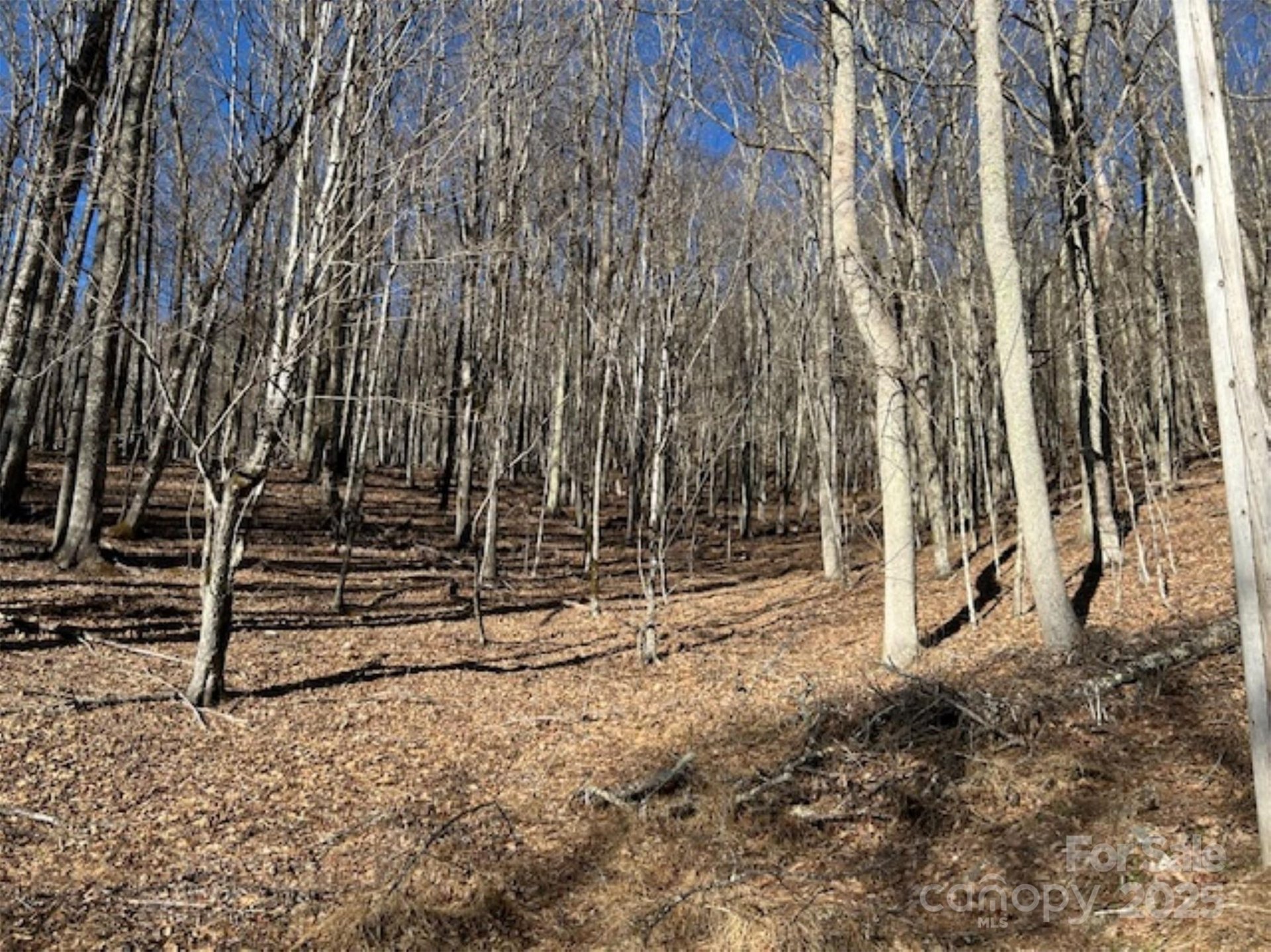 Property at 326 Hamlin Lane, Mars Hill, NC 28754