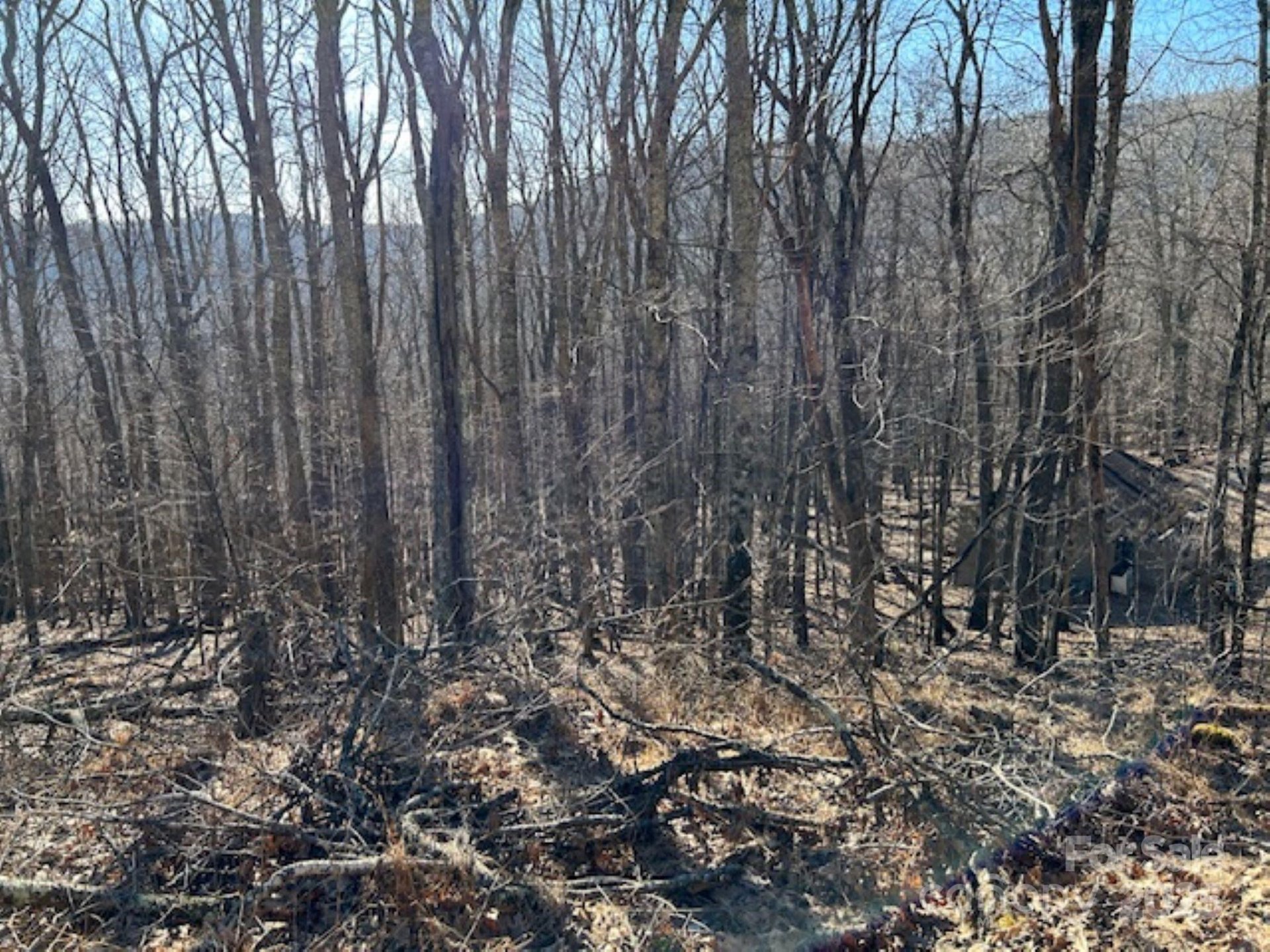 Property at 337 Hamlin Lane, Mars Hill, NC 28754