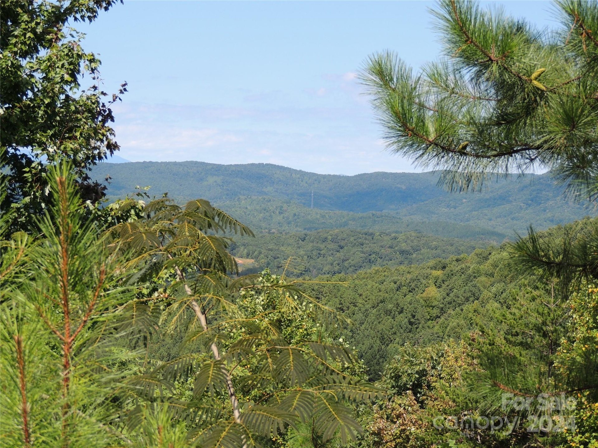 Property image 3 at 146 Saratoga Drive, Bostic, NC 28018