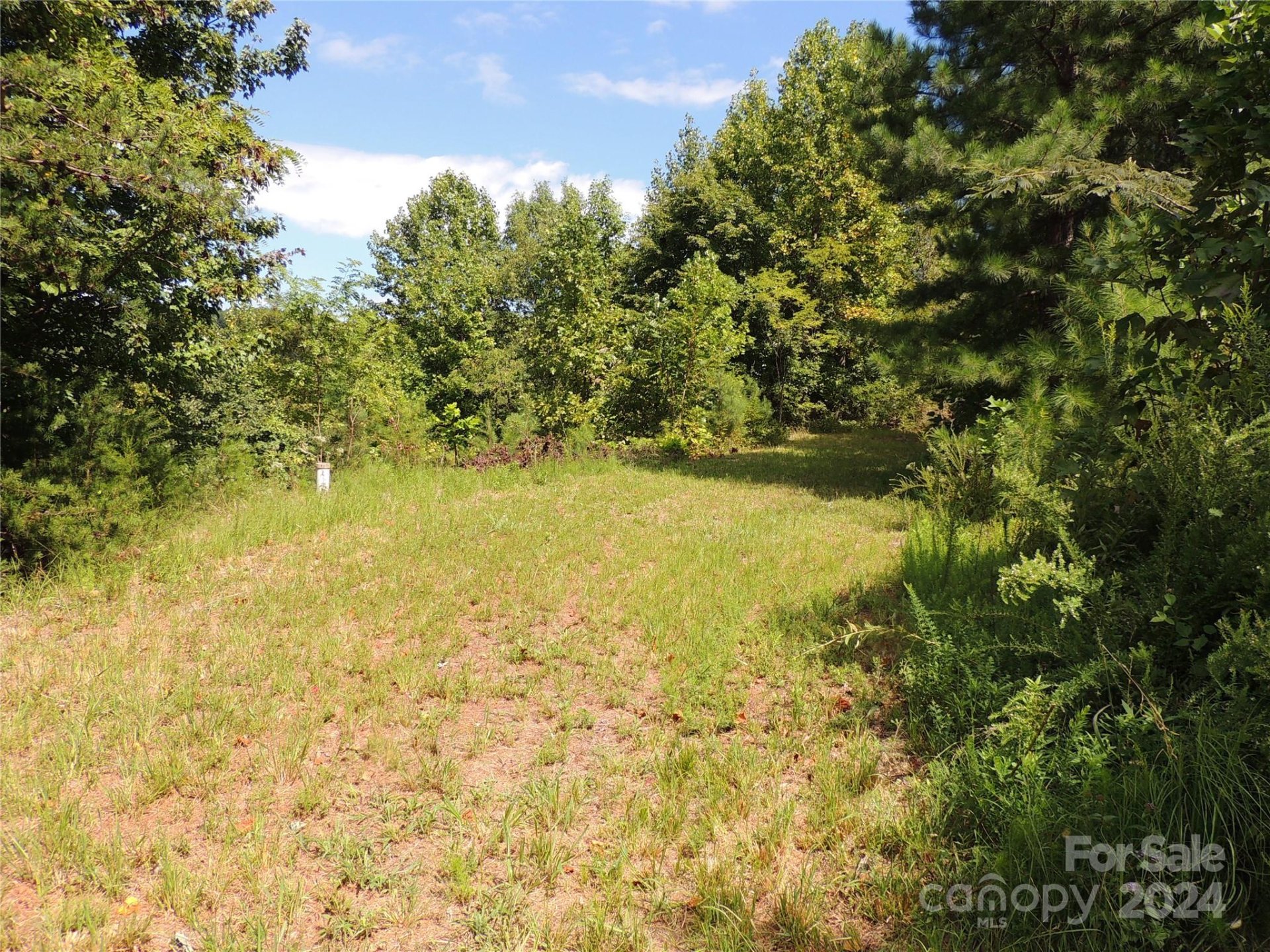 Property image 5 at 146 Saratoga Drive, Bostic, NC 28018