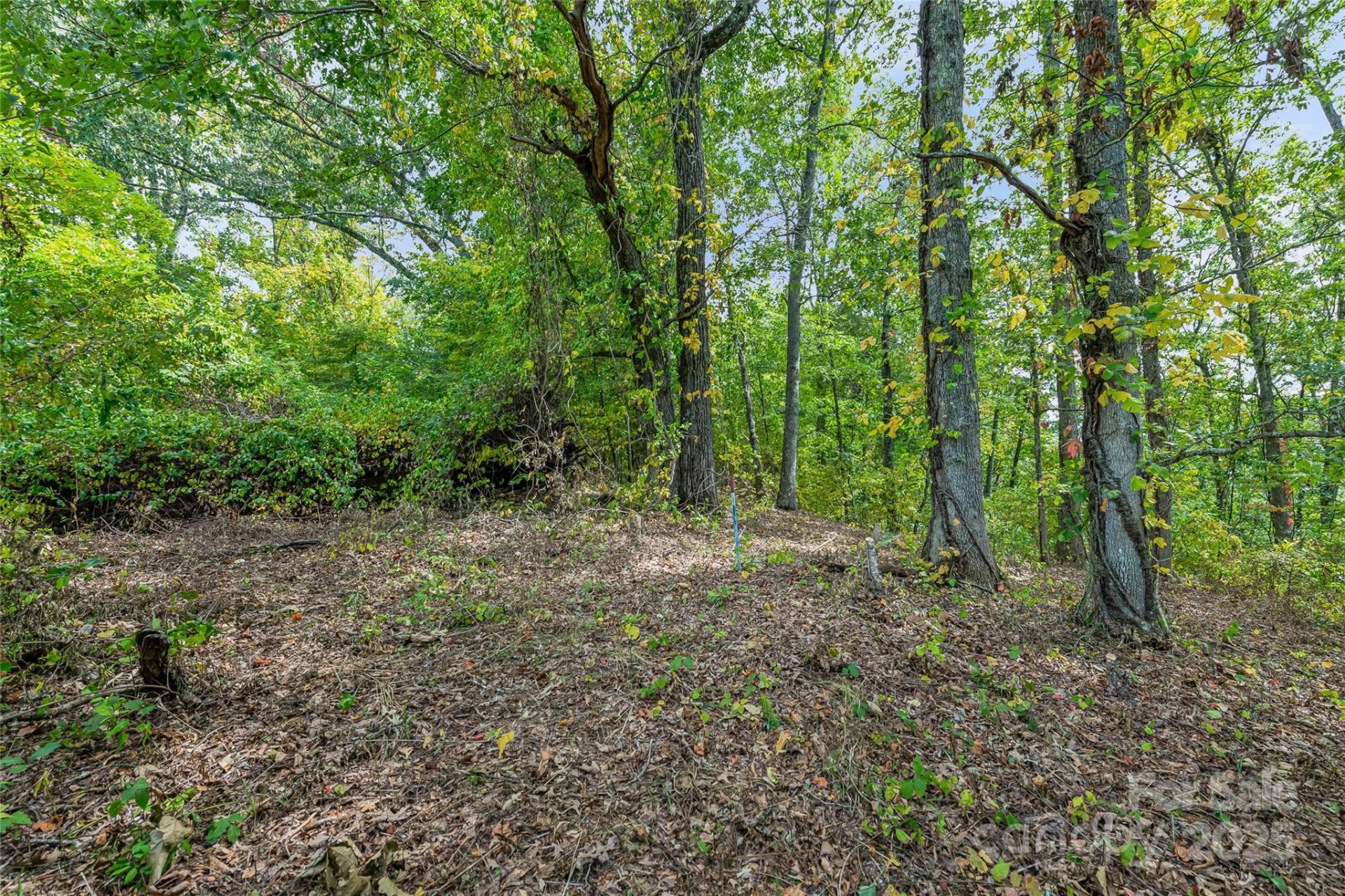 Property at 1380 Seven Glens Drive, Weaverville, NC 28787